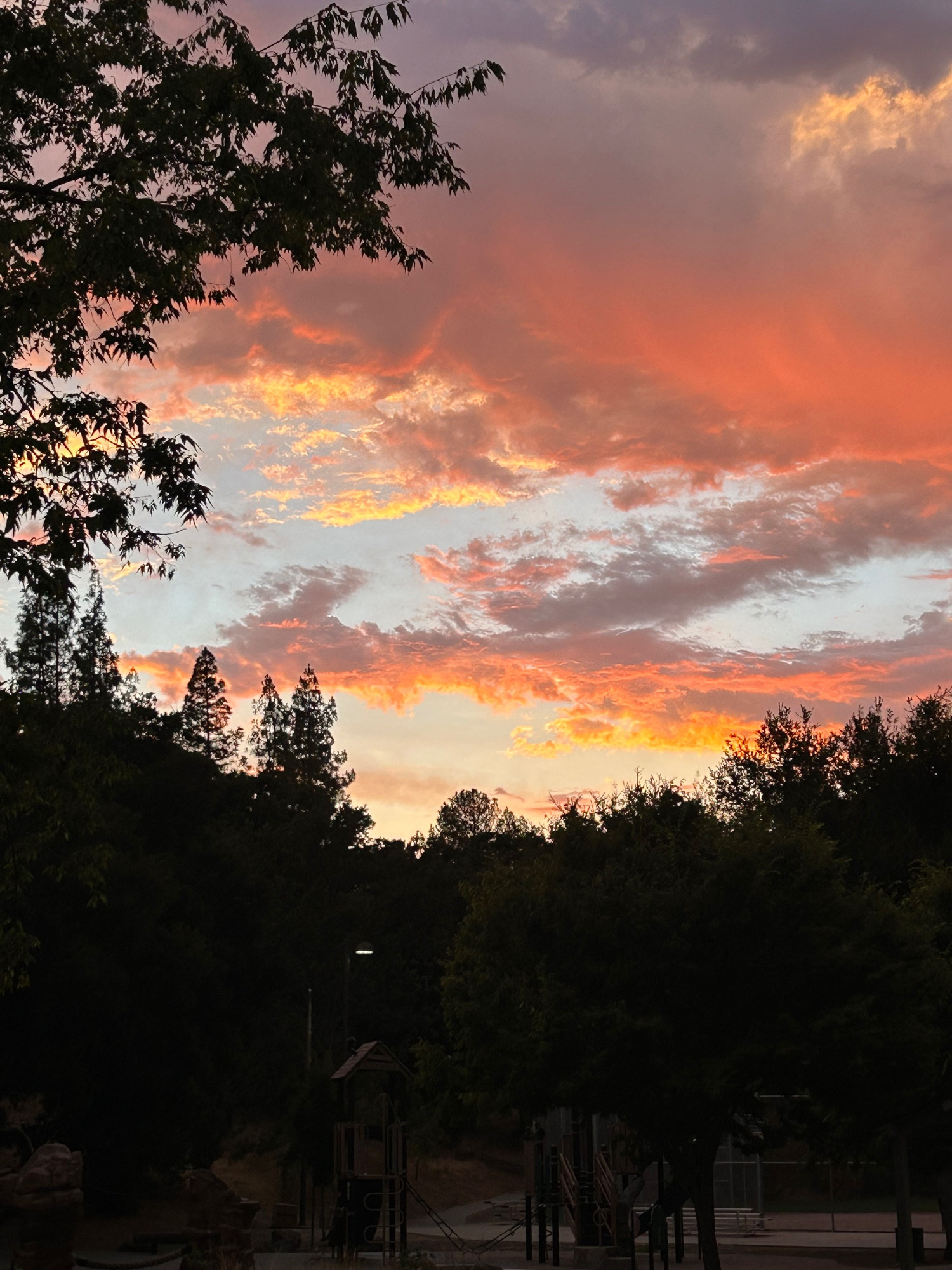 The insanely beautiful colors of sunset— that we take for granted because “hey, it’s a sunset”