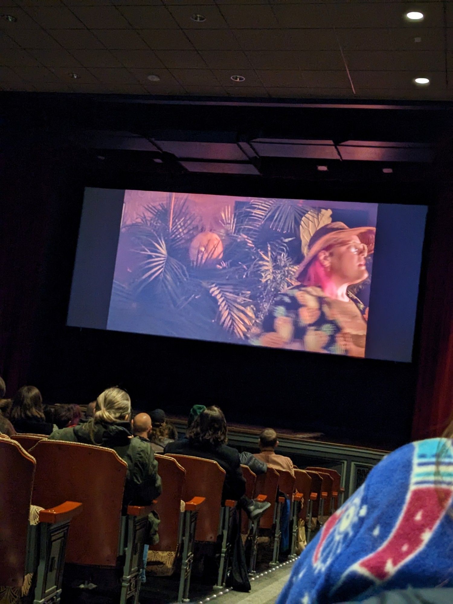 Photo of theater screen with footage of myself being stalking by the Many-Eyed Potato in the Anomaly pre-show trailer.