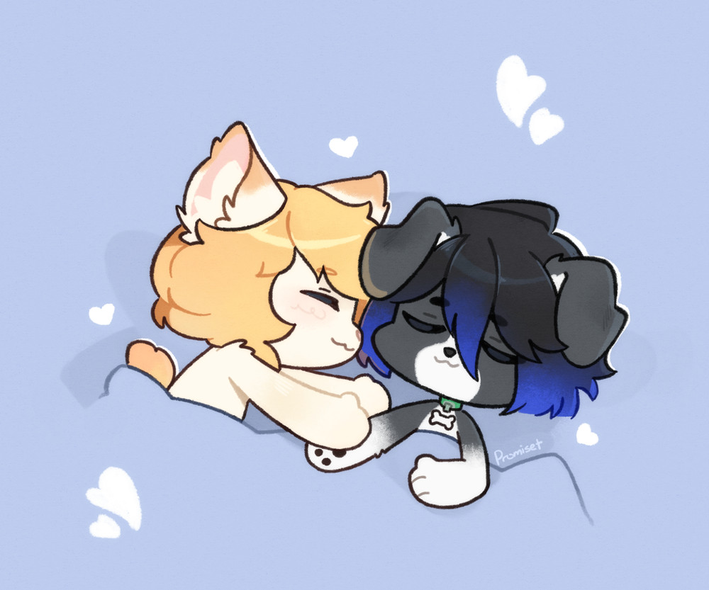 An anthro border collie and kitter kat snuggled up in bed, hands holding while both are deep in sleep thinking of the walk through the rain