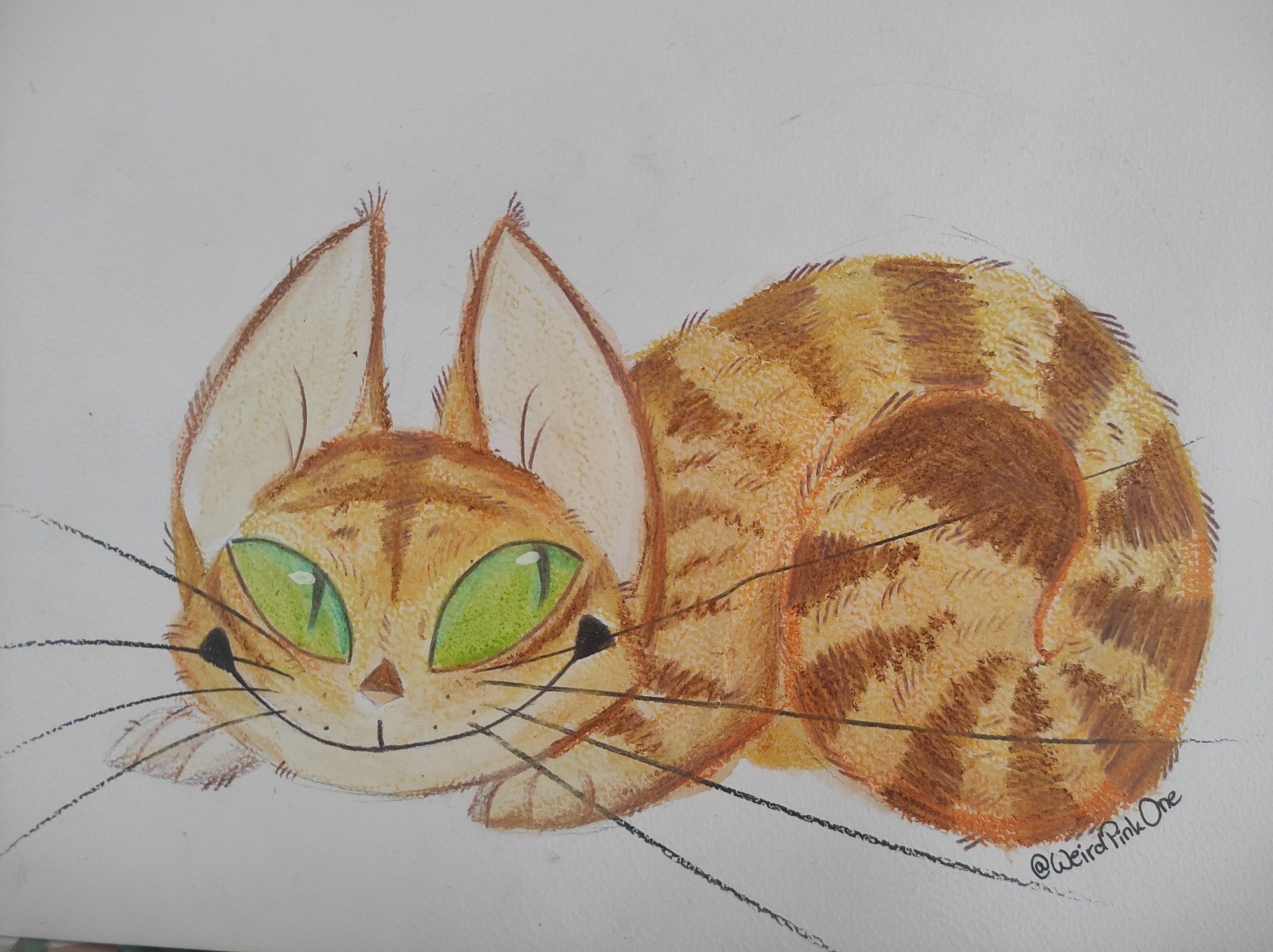 A colored pencil drawing of an orange cat, grinning from ear to ear on a white paper background