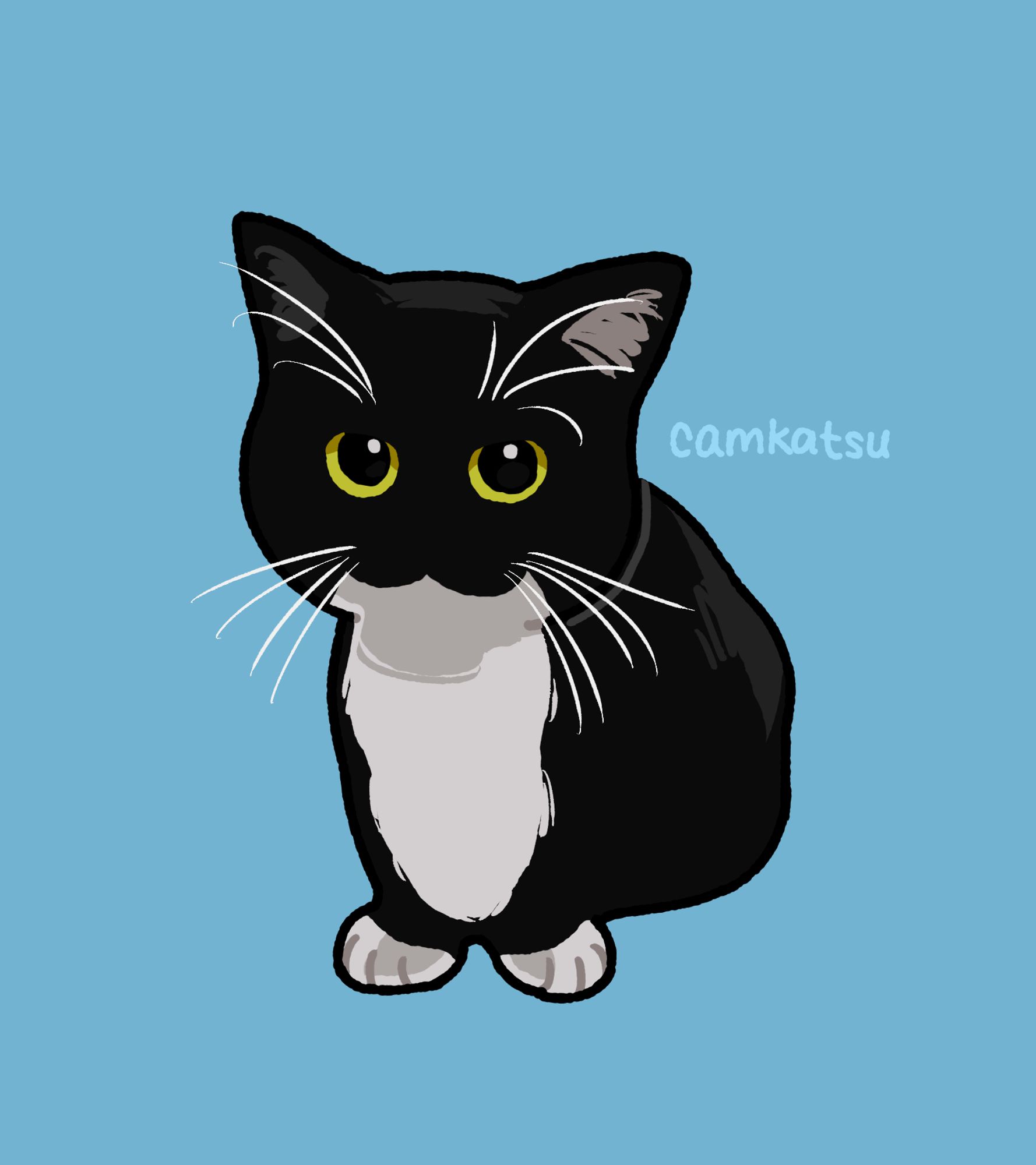 digital drawing of a small tuxedo cat sitting. signed "camkatsu"