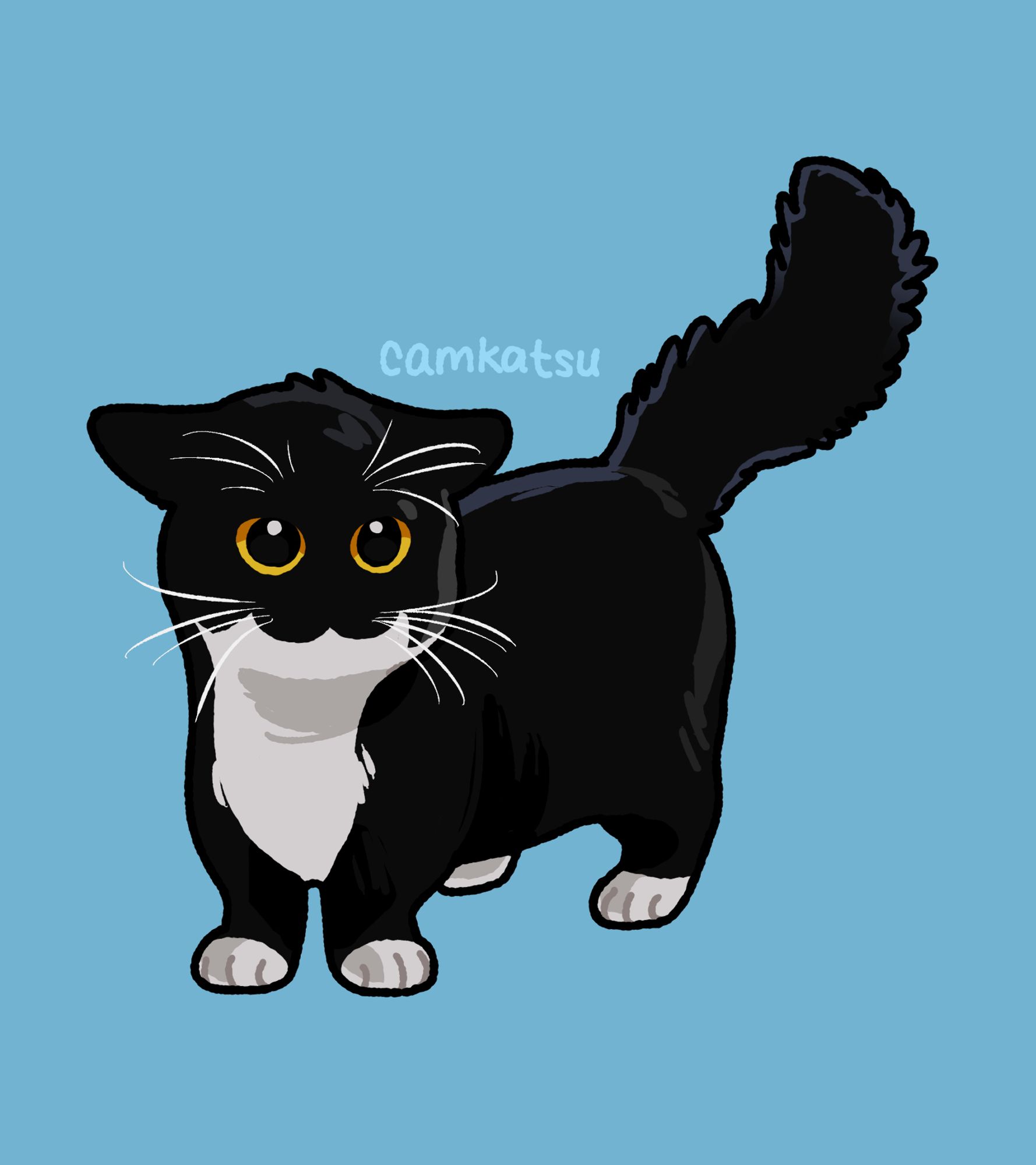 digital drawing of a small tuxedo cat with their ears back and tail puffed. signed "camkatsu"