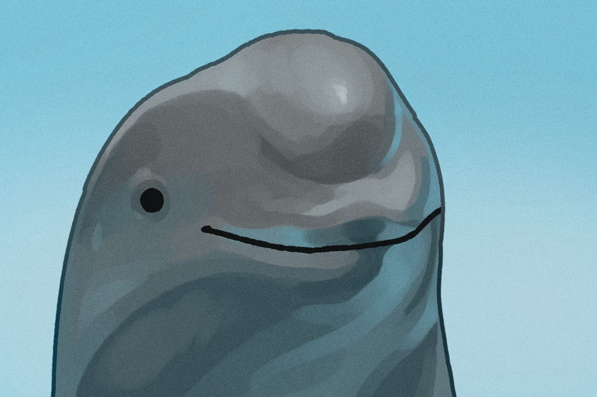 digital drawing of a porpoise(?) with a funny blank smile