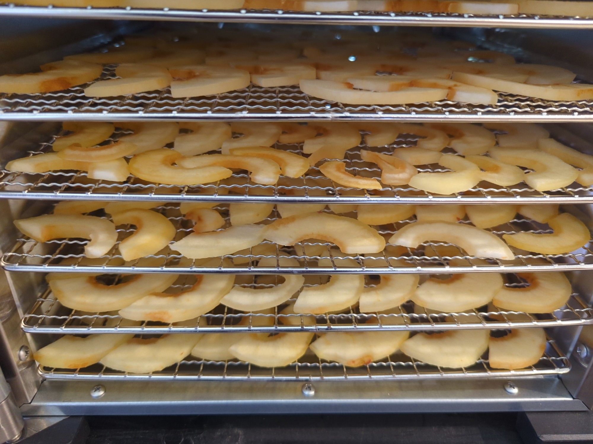 Six rows of apple half-rings sit on wire racks in a dehydrator