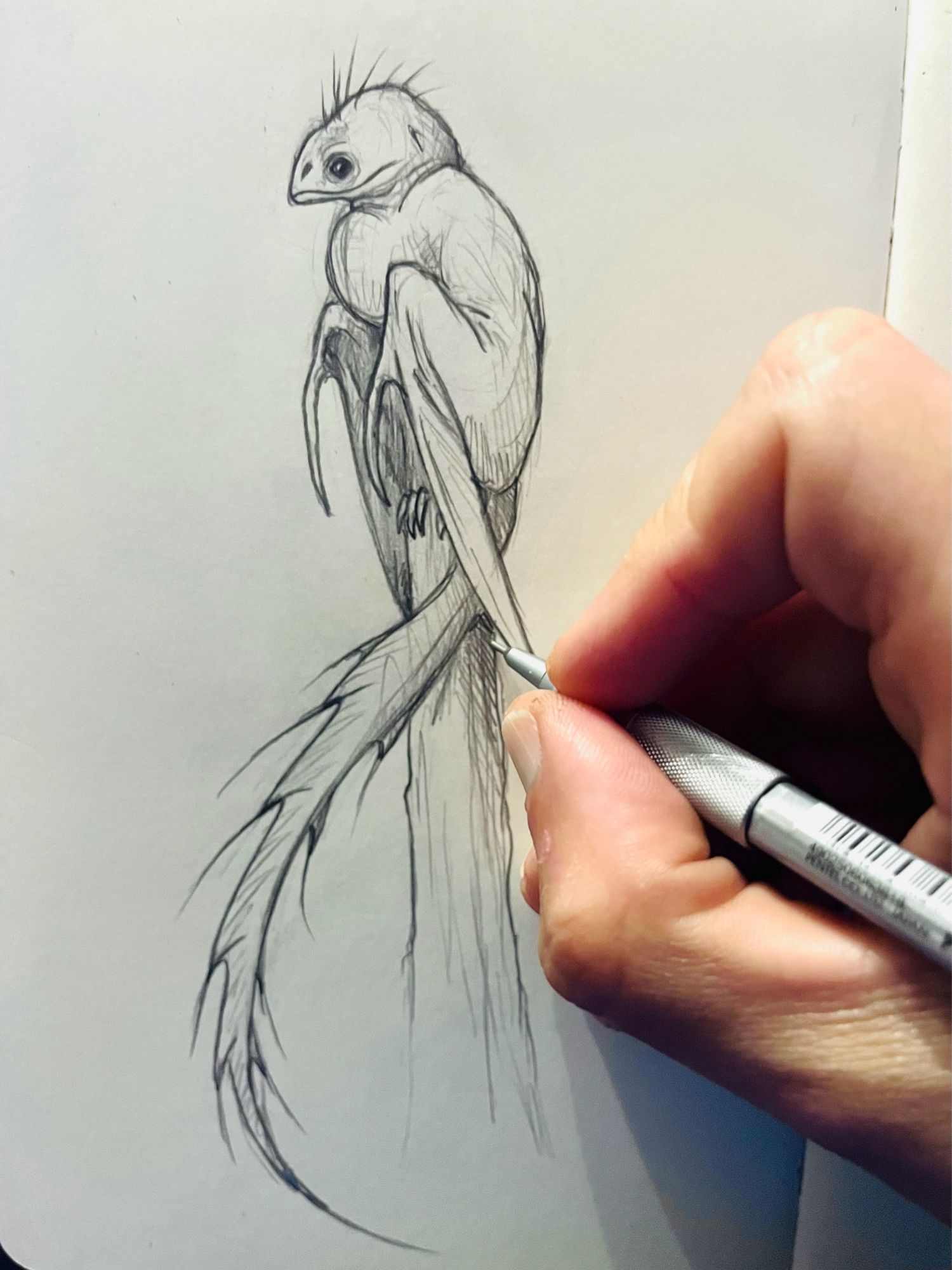 A close up photo of my sketchbook with my hand and pencil also in view. On the page is a small, bird-like dragon, perched on top of a wooden post.