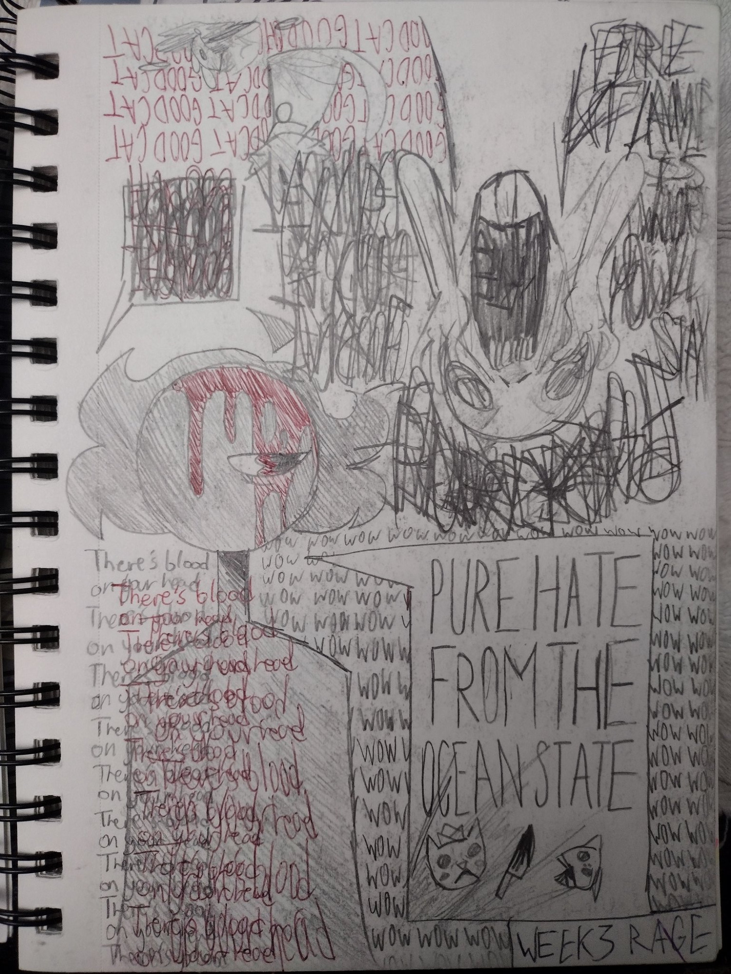 A pencil and red pen drawing of a shadowy figure with blood dripping down their head and a single red eye saying "PURE HATE FROM THE OCEAN STATE" with a small image of a cat, a knife, and a fish head. There is repetitive writing with the word "wow", and "There's blood on your head."

On the top side of the image, when turned upside down the drawing shows a blank person screeching with a stretched out mouth, there is various words scribbled around them that are incomprehensible. Next to the person can be seen a small cat with a dead mouse on the floor with someone telling the cat "GOOD CAT," The writing is repeated over and over until it is incomprehensible and the same phrase can be seen in red pen behind the cat.