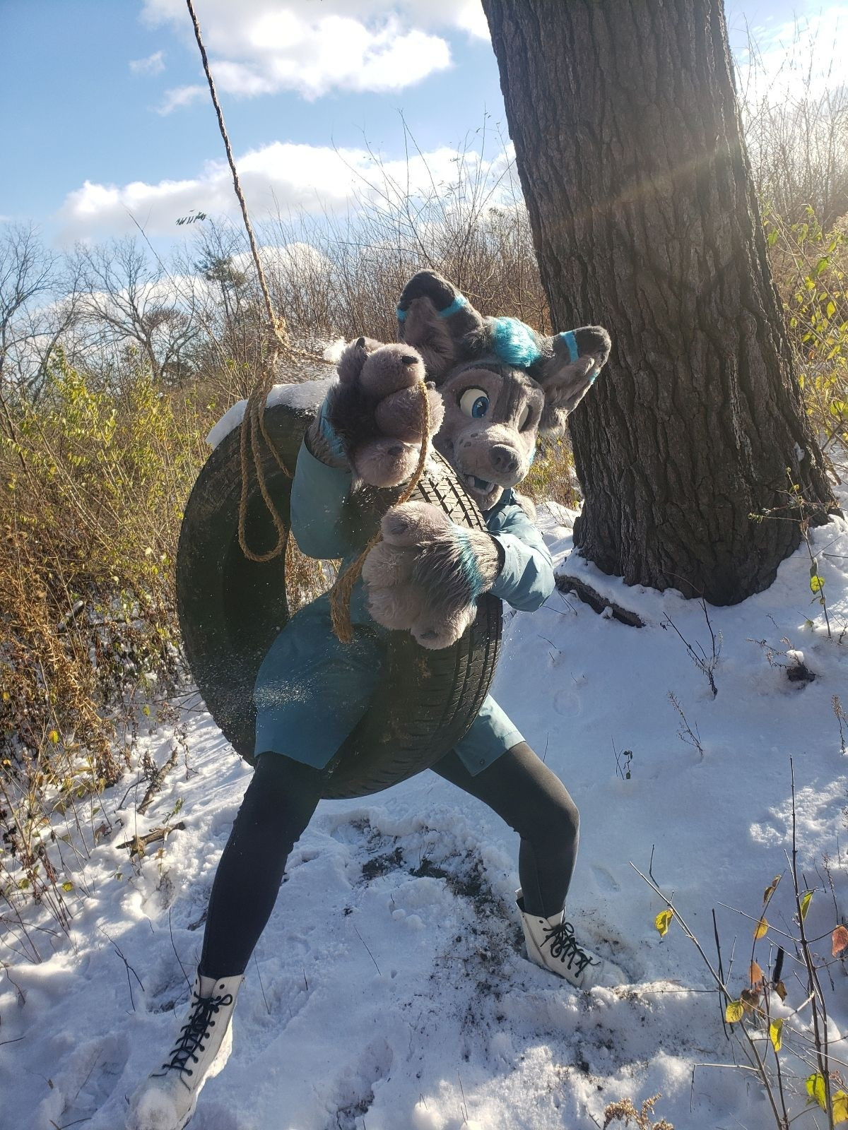 My as Enzo in a tire swing with snow on the ground