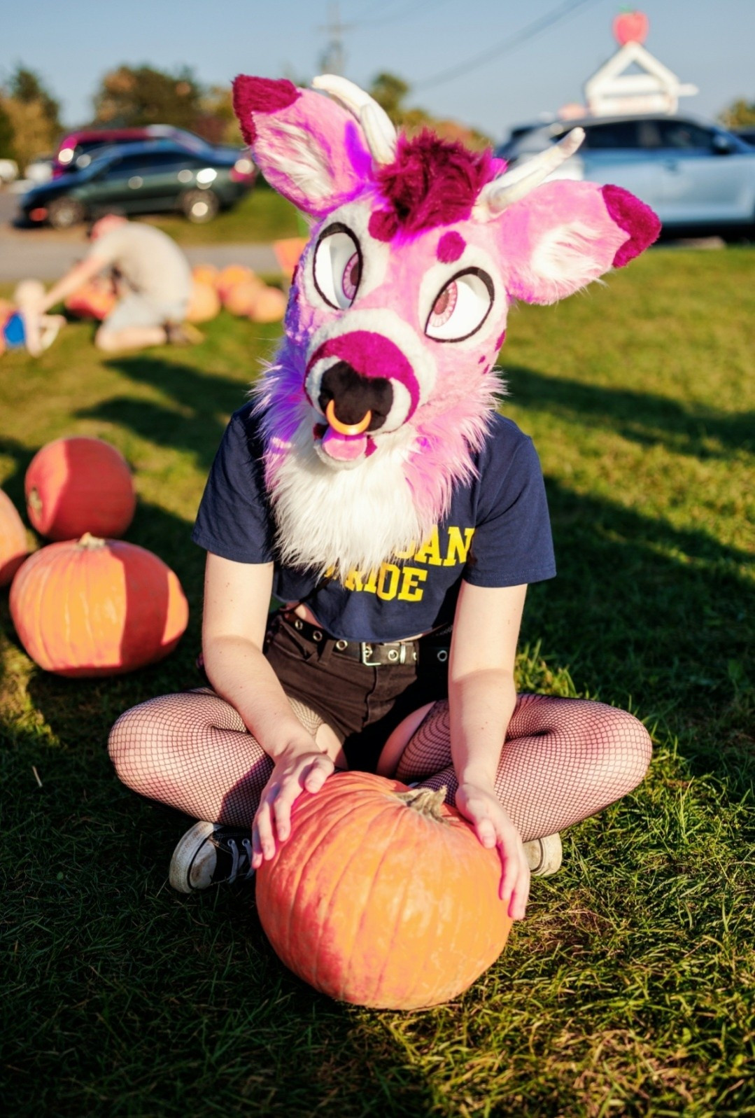 Me in my pink deer fursuit Tavi, sitting on the ground, holding a pumpkin