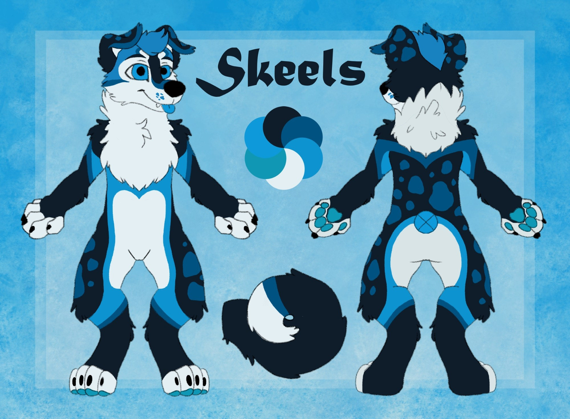 Ref sheet of blue husky, Skeels