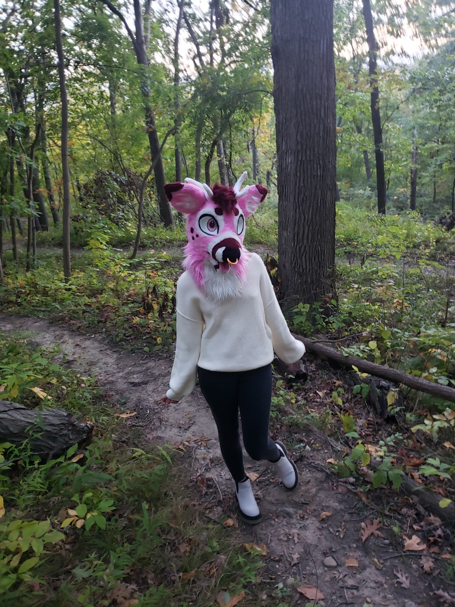 Pink deer Tavi in a sweater in the woods