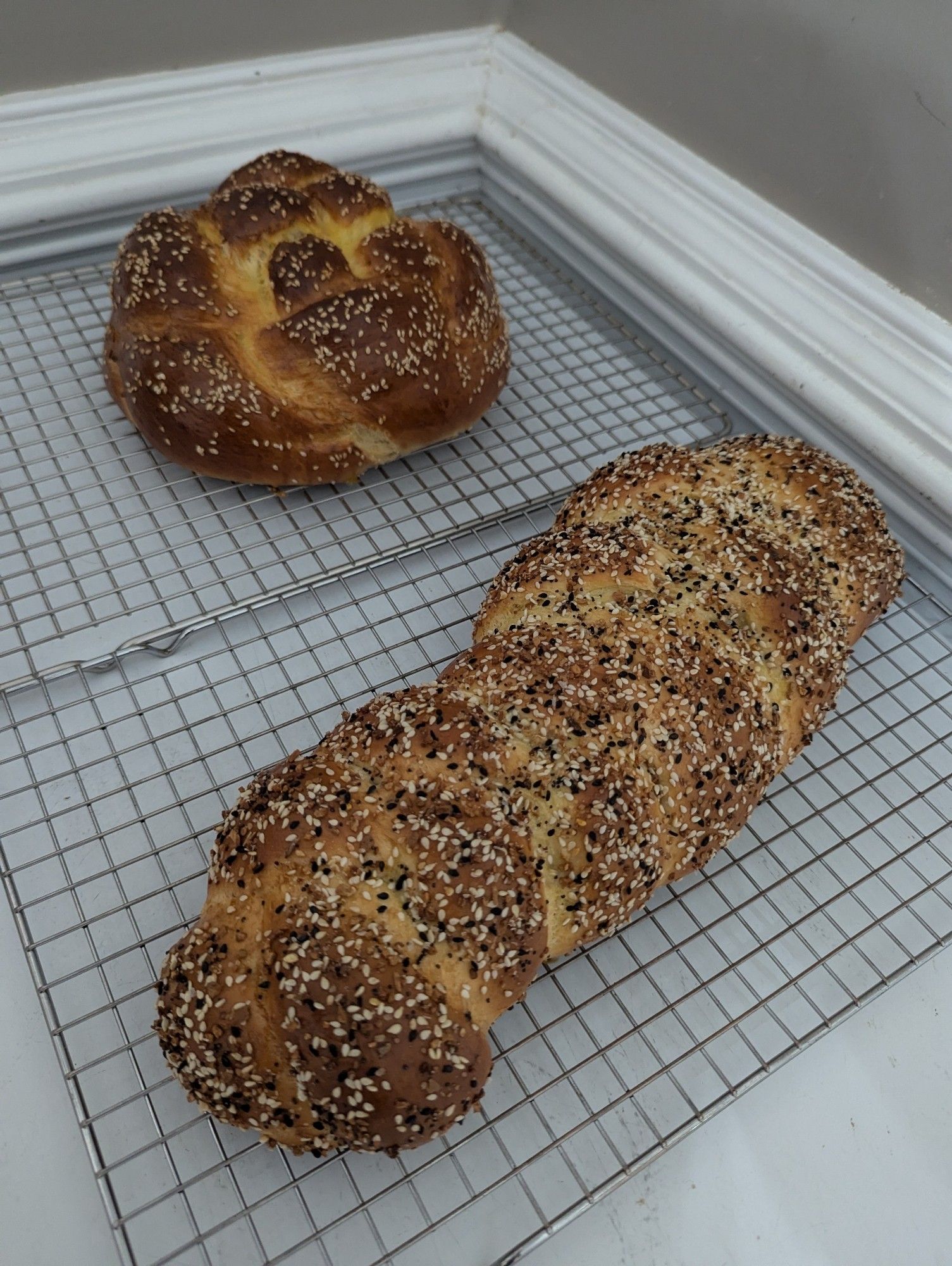 Round challah topped with sesame seeds in the back, 3-strand challah topped with everything bagel seasoning in the front, both cooling on a wire rack on top of a chest freezer