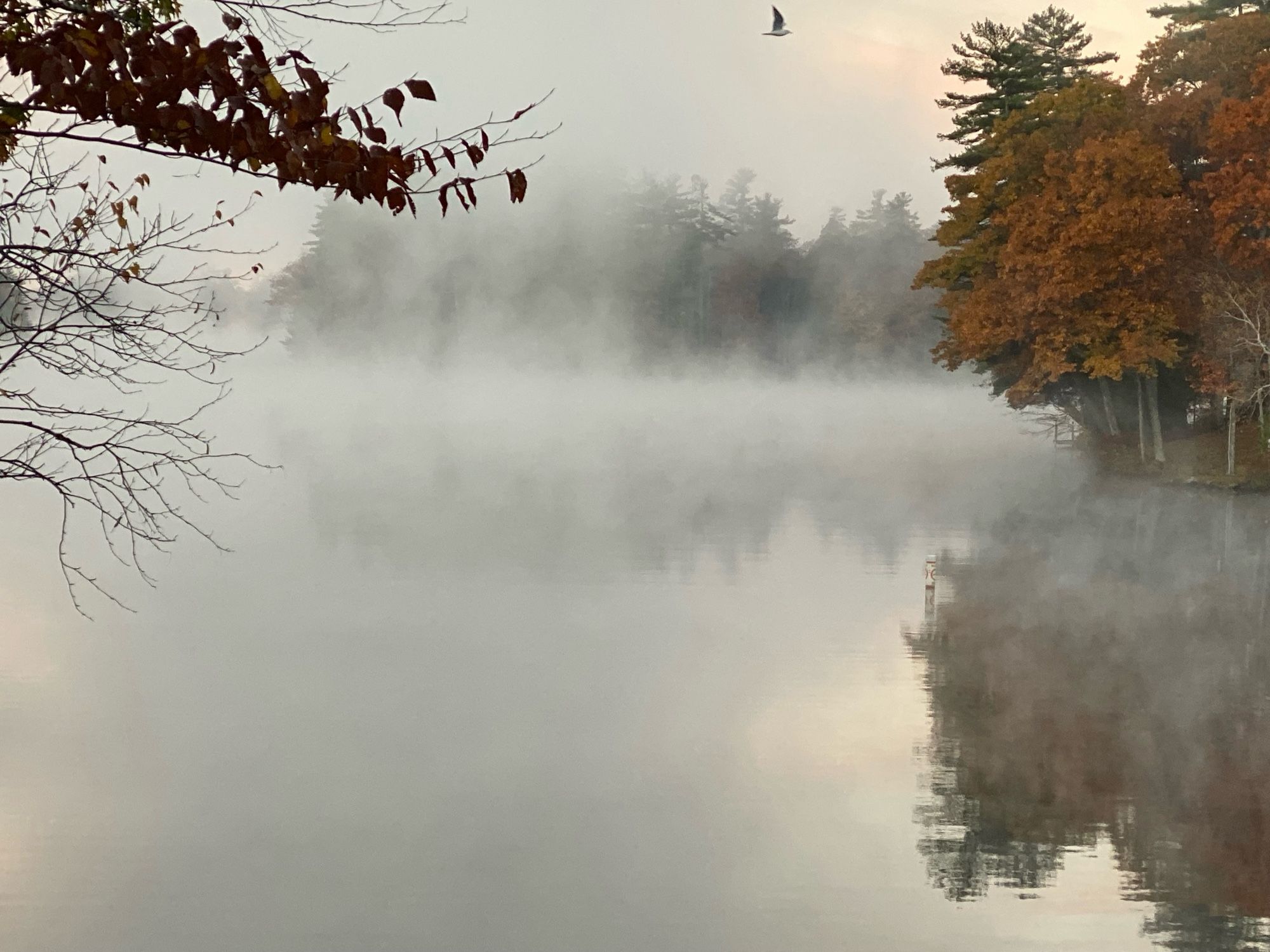 Falls beautiful colors grace a fog covered lake