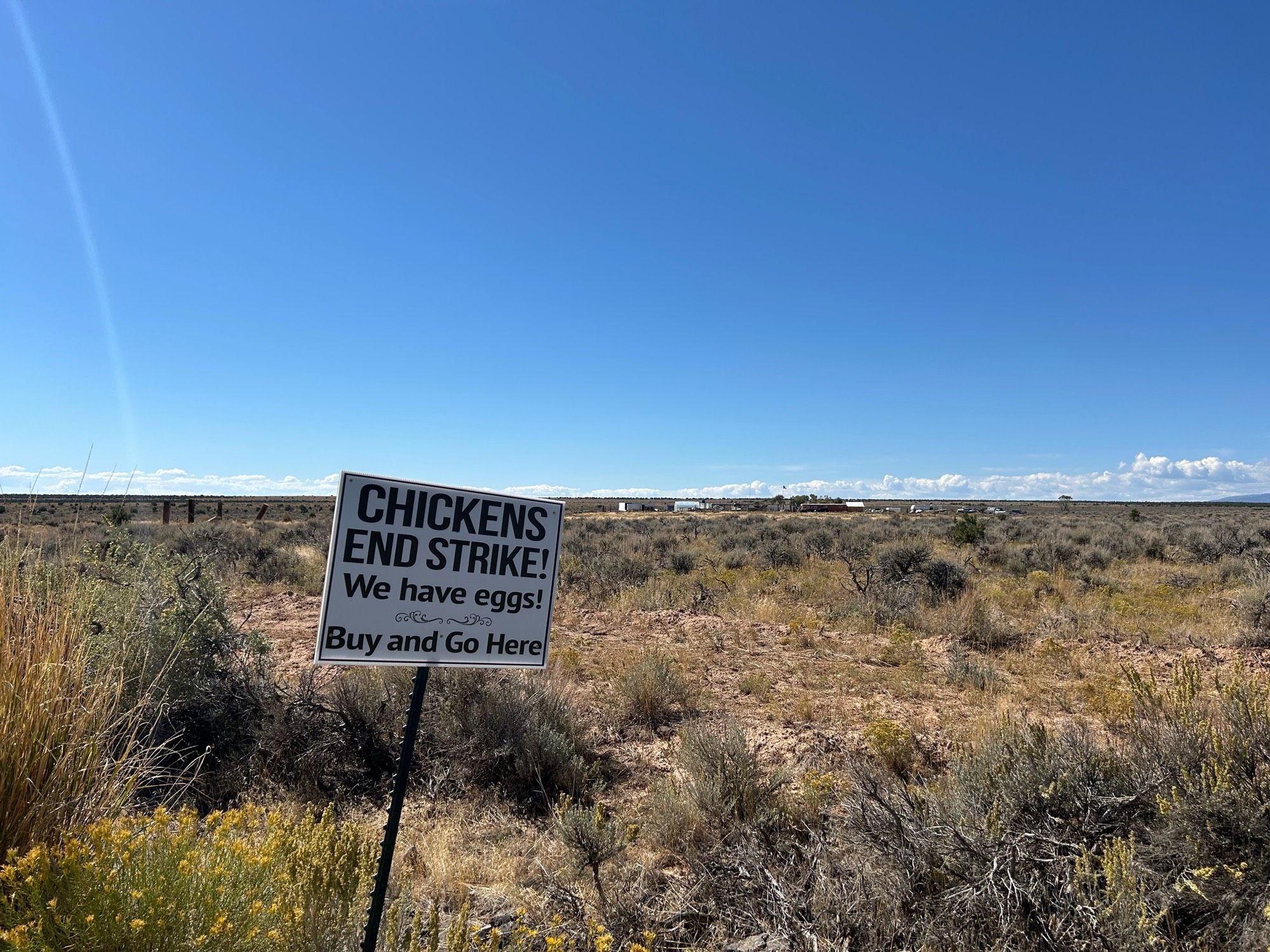 A sign that says “CHICKENS END STRIKE! We have eggs! Buy and Go Here”

The sign is stuck on a t-post in a field of sagebrush with a ranch in the distance.