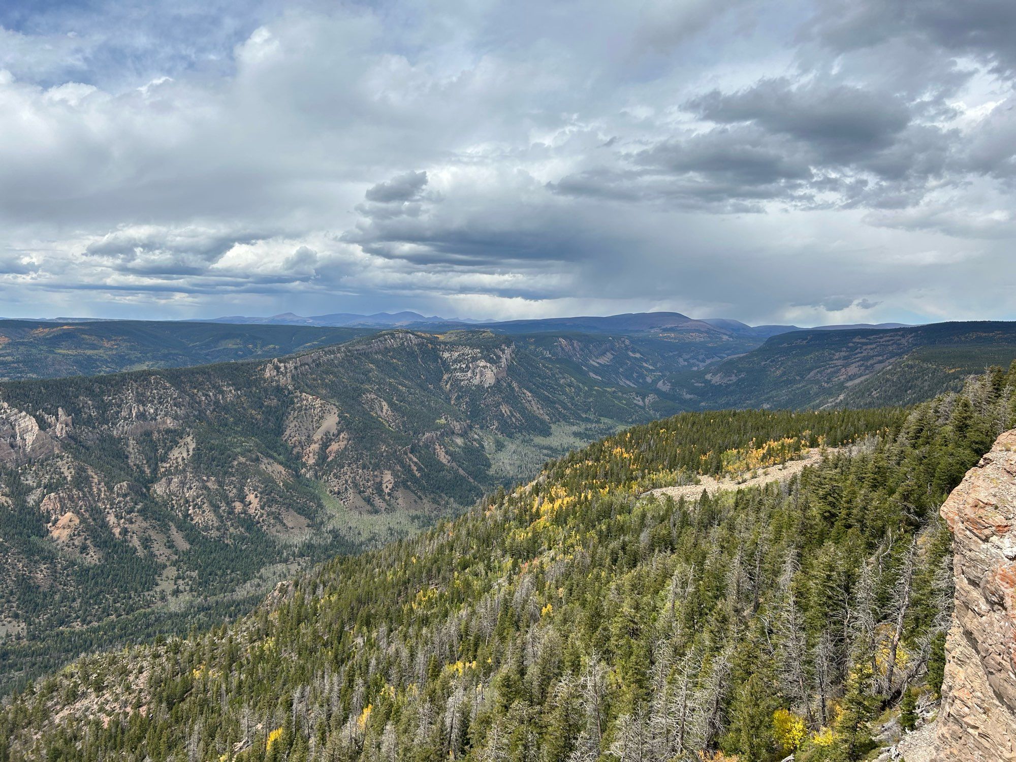 Mountains and trees from a very high peak.