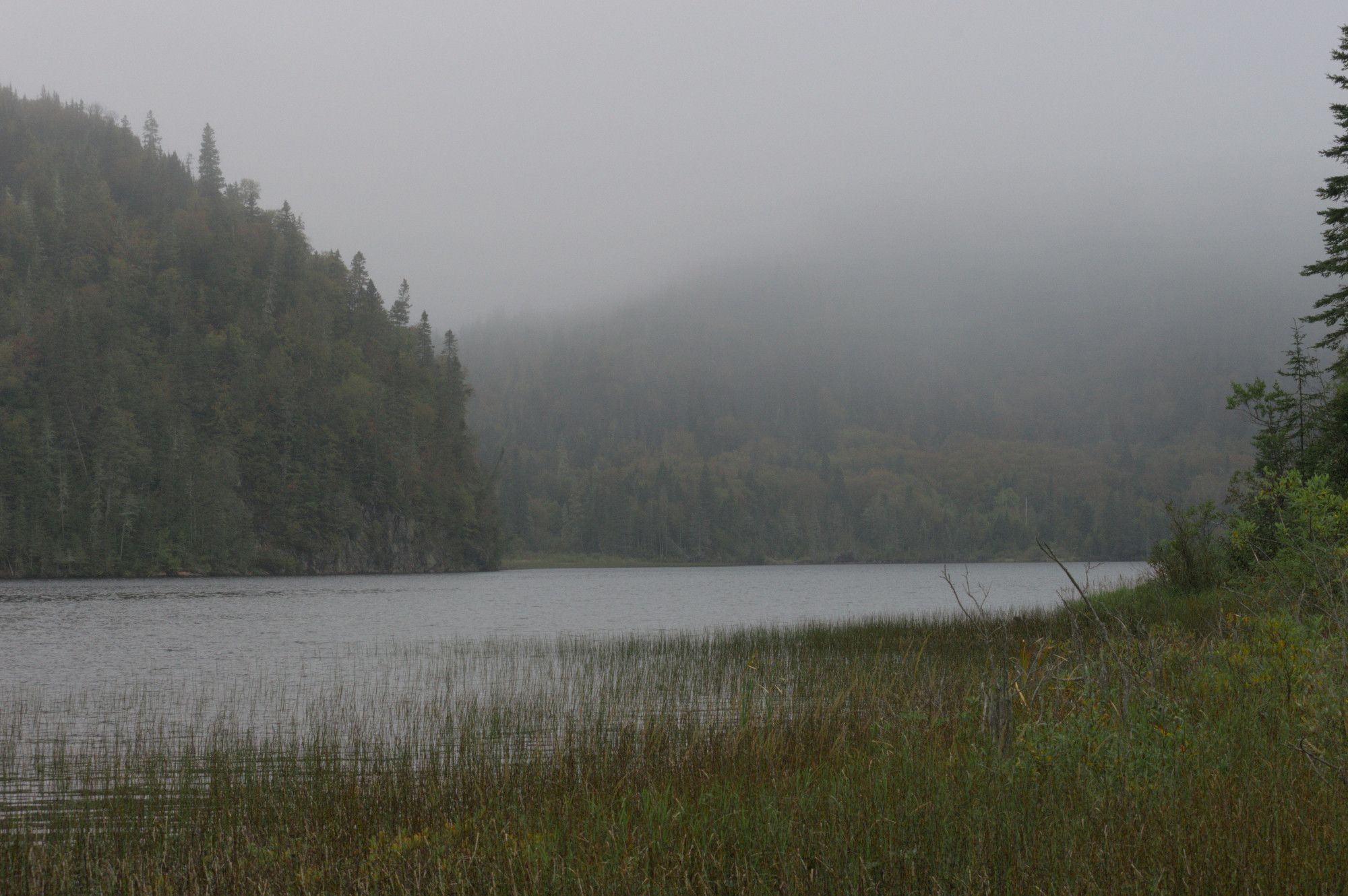 Shallow, emergent reeds in the foreground of a lake, while the background hills are shrouded in a thick fog. The mood is sombre, but the lake and surrounding forest is beautiful in this autumn Boreal landscape.