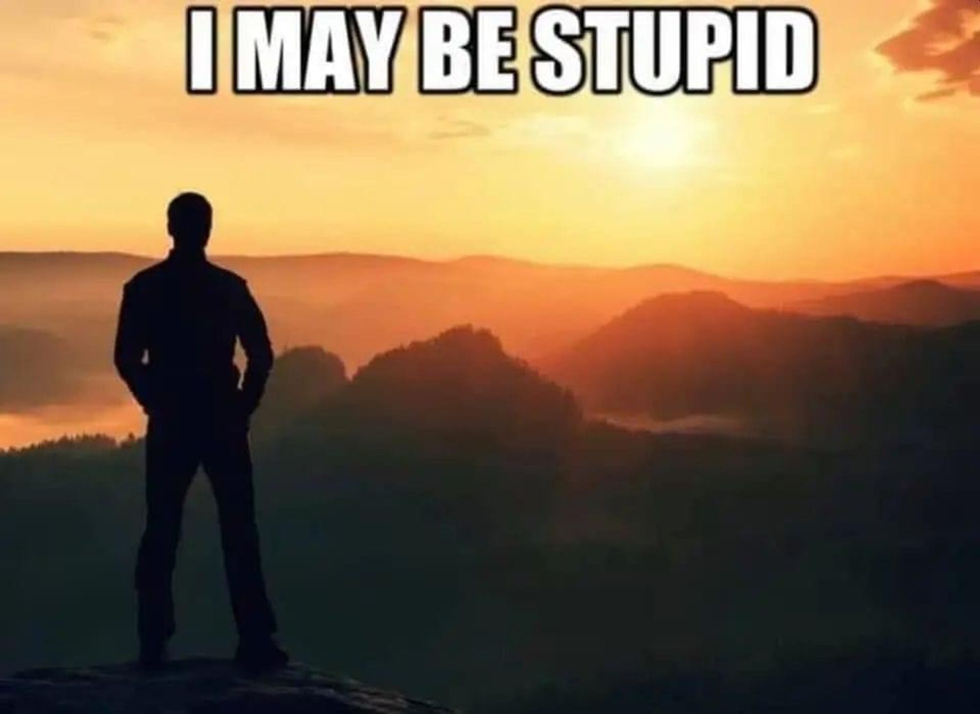 Photo of a person in silhouette standing on a mountain, looking across other mountains with a beautiful sunset shining in the distance. 

At the top in a huge meme font, it says  “I MAY BE STUPID”