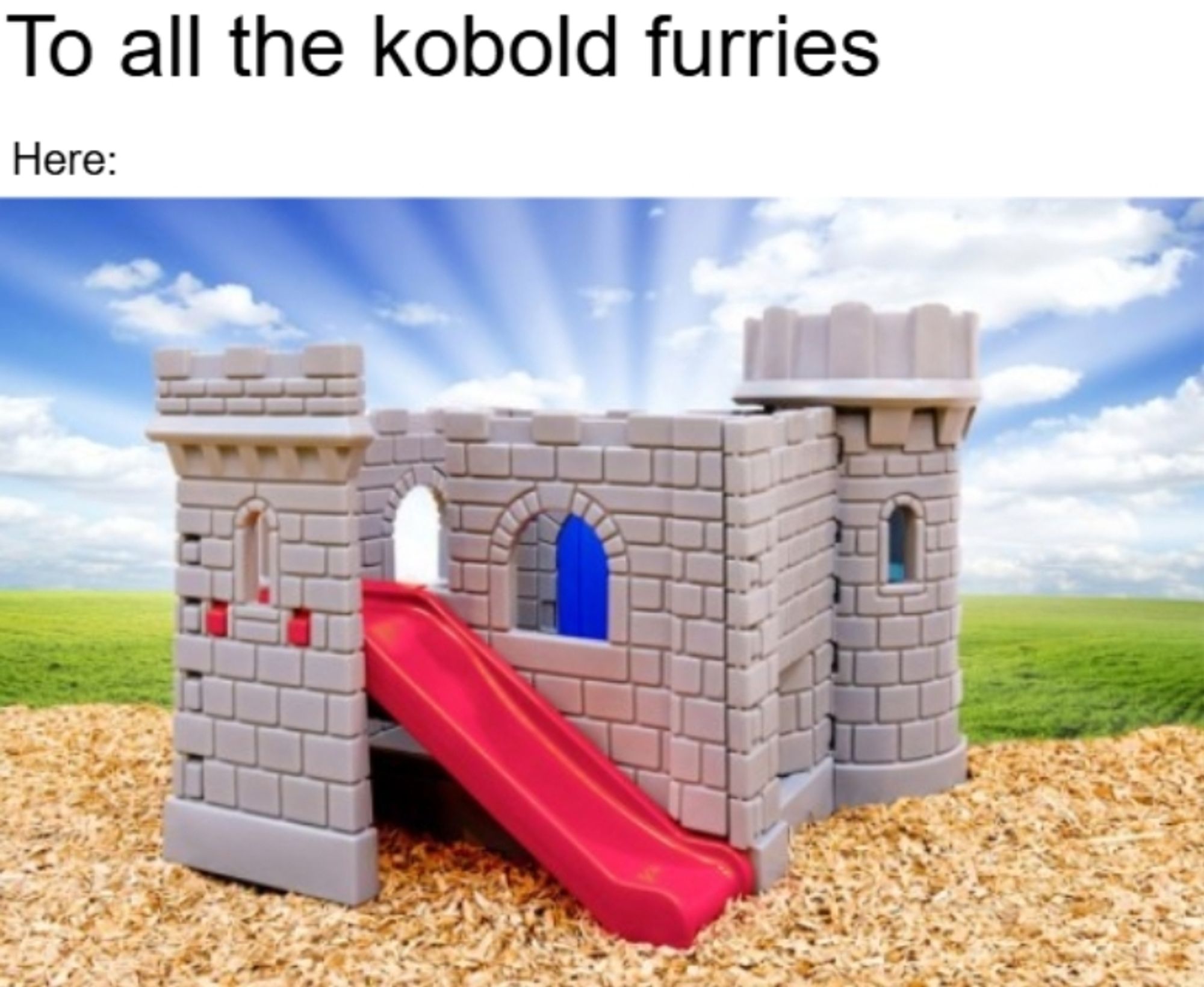 A plastic playground set that's modeled after a medieval castle. It even has a slide. It's captioned with "To all the kobold furries. Here:"