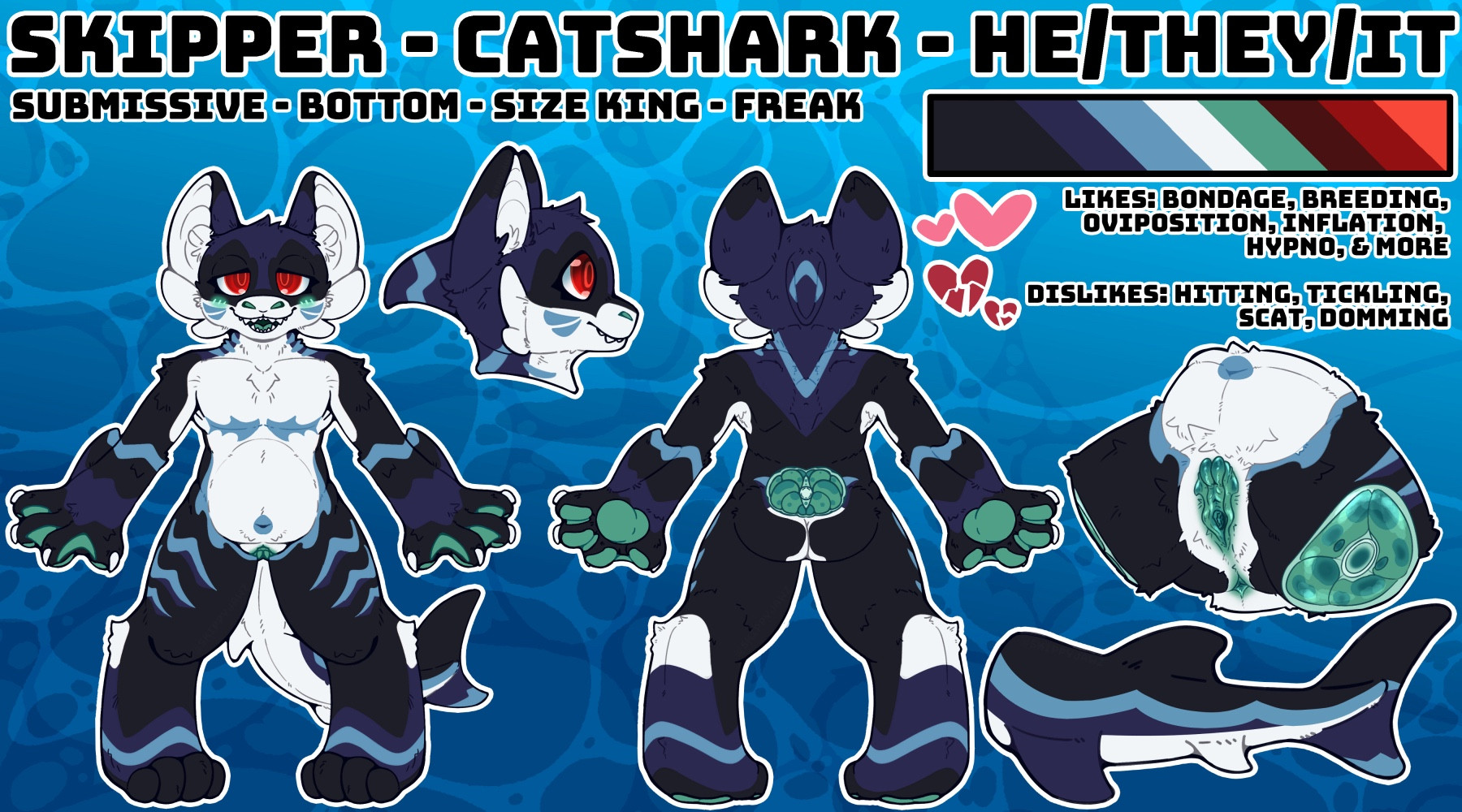 text reads as "skipper, catshark, he/they/it. submissive, bottom, size king, freak. likes: bondage, breeding, inflation, hypno, & more. dislikes: hitting, tickling, scat, domming"
skipper is a mostly black shark with a white belly, dark blue head, red eyes, and light and dark blue accents. his flesh is teal, both for his internals and for his pawpads and mouth. he has a vulva with two clits enlarged from hrt growth, and they resemble tiny claspers.