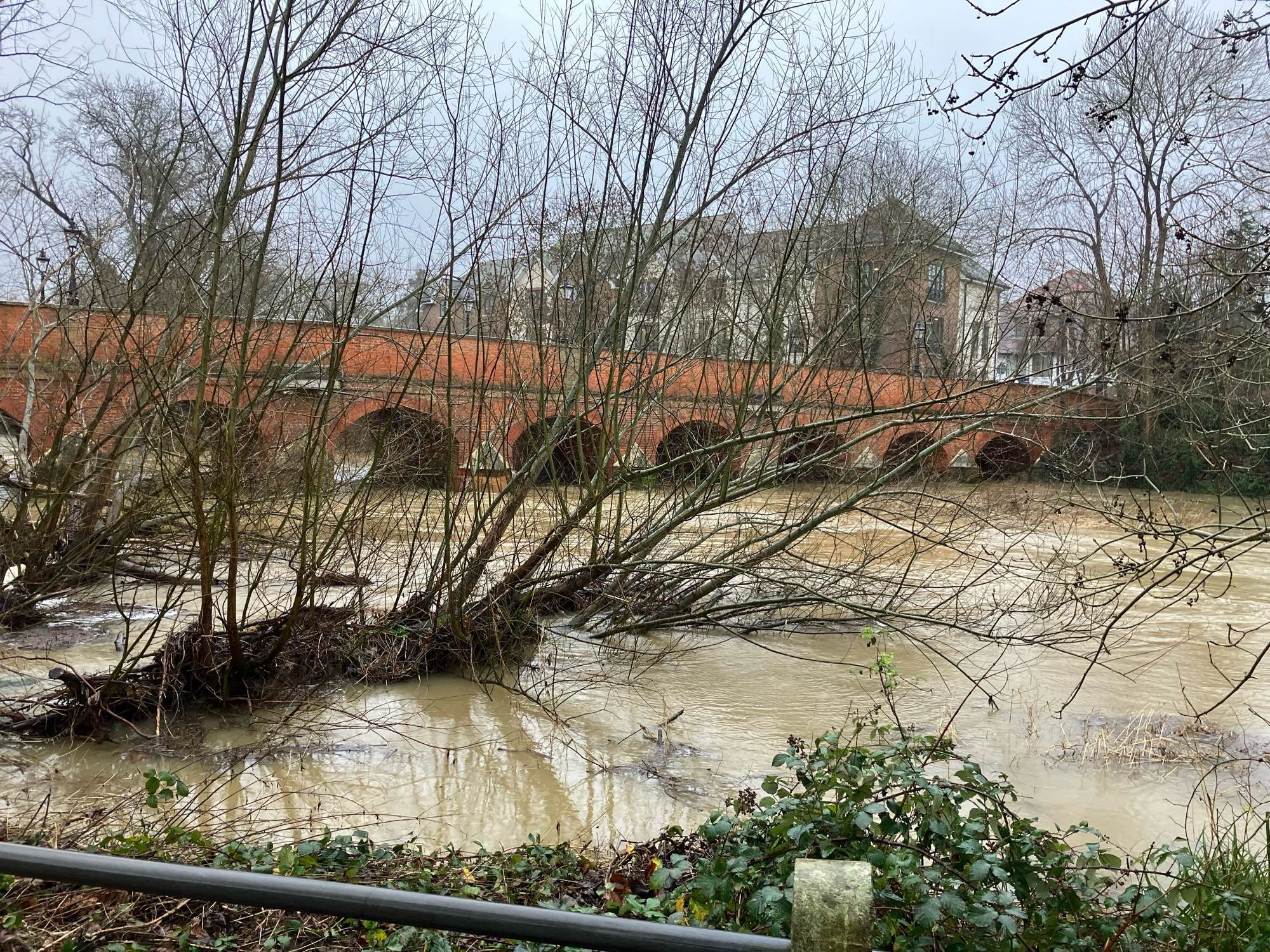 River Mole, 2nd January 2024