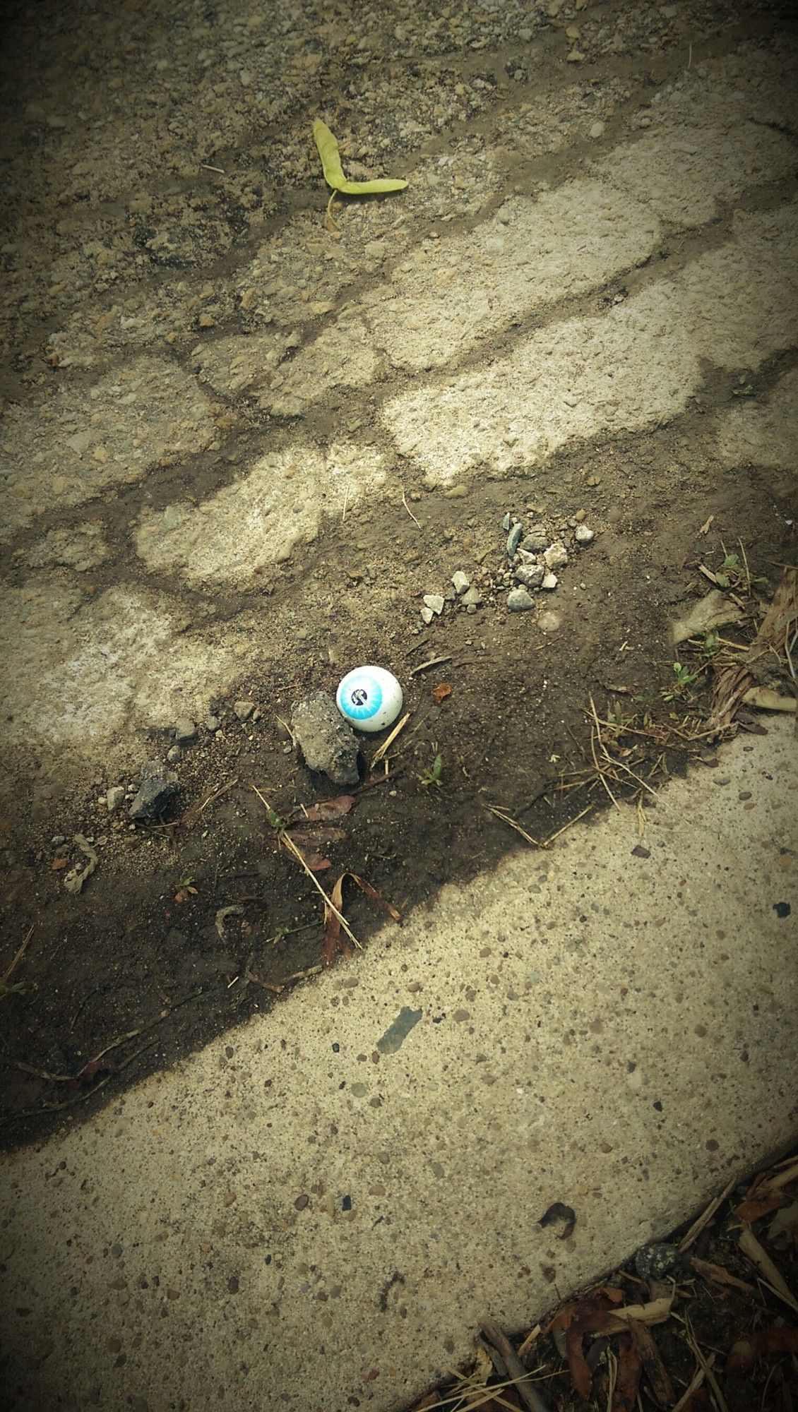 novelty eyeball in cobbled street