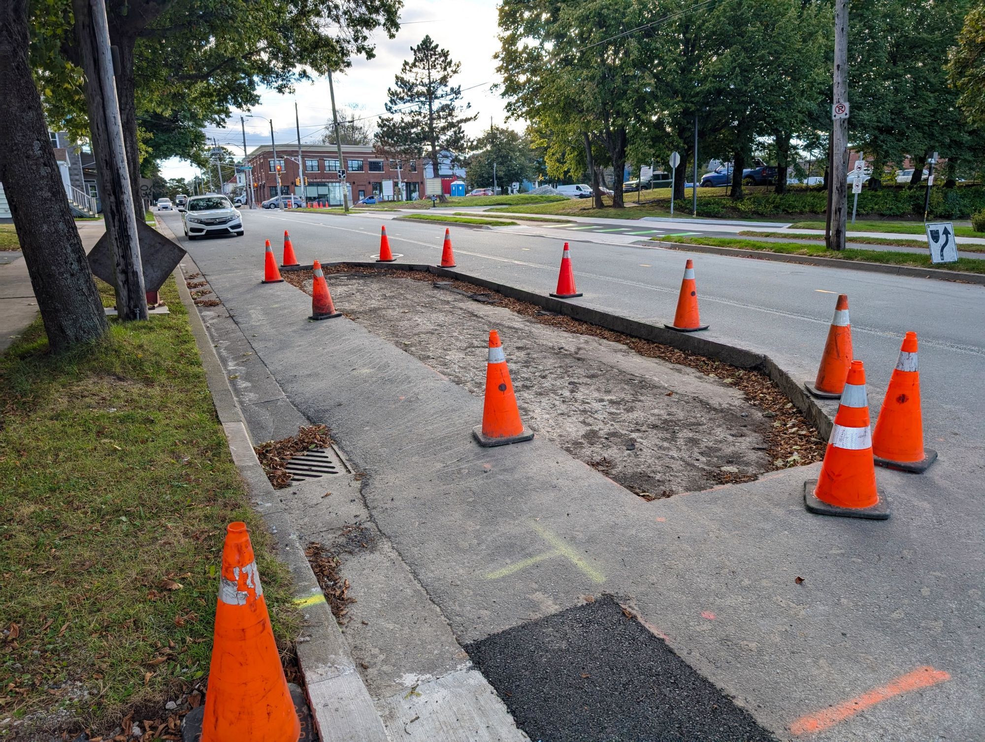 Another area of the roadway on Almon Street, closer to Windsor Street. Part of the roadway has been dug up and is surrounded by traffic cones.