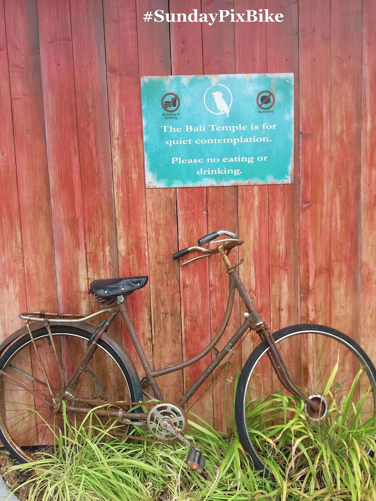 A bike leaning against a red wooden wall which bears a turquoise sign saying "The Bali Temple is for quiet contemplation.