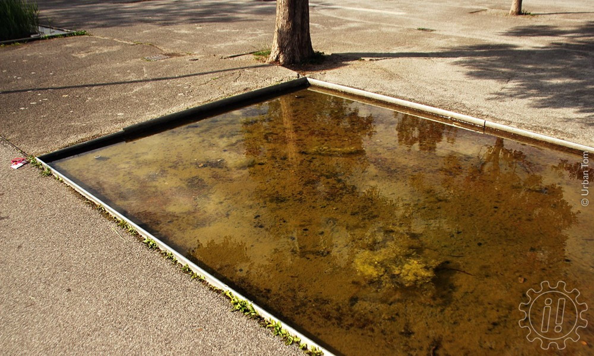 Inmitten einer großen Asphaltfläche sind vereinzelt kleine Öffnungen im Asphalt, in denen Bäume wachsen, und flache Wasserbecken mit senkrechten Metallkanten.