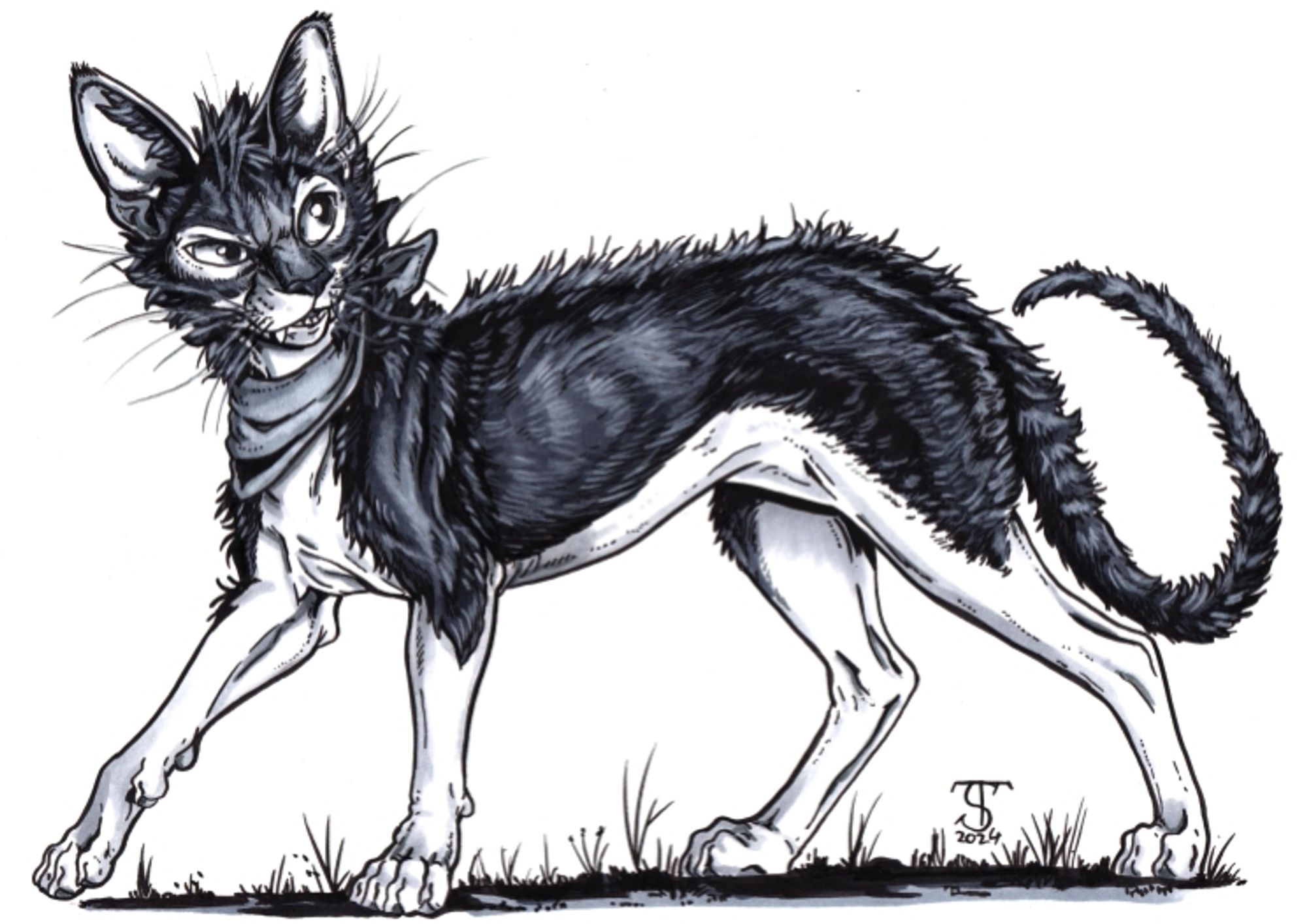 Lykoi cat wearing a bandana with a cheeky expression done in greyscale markers and ink.