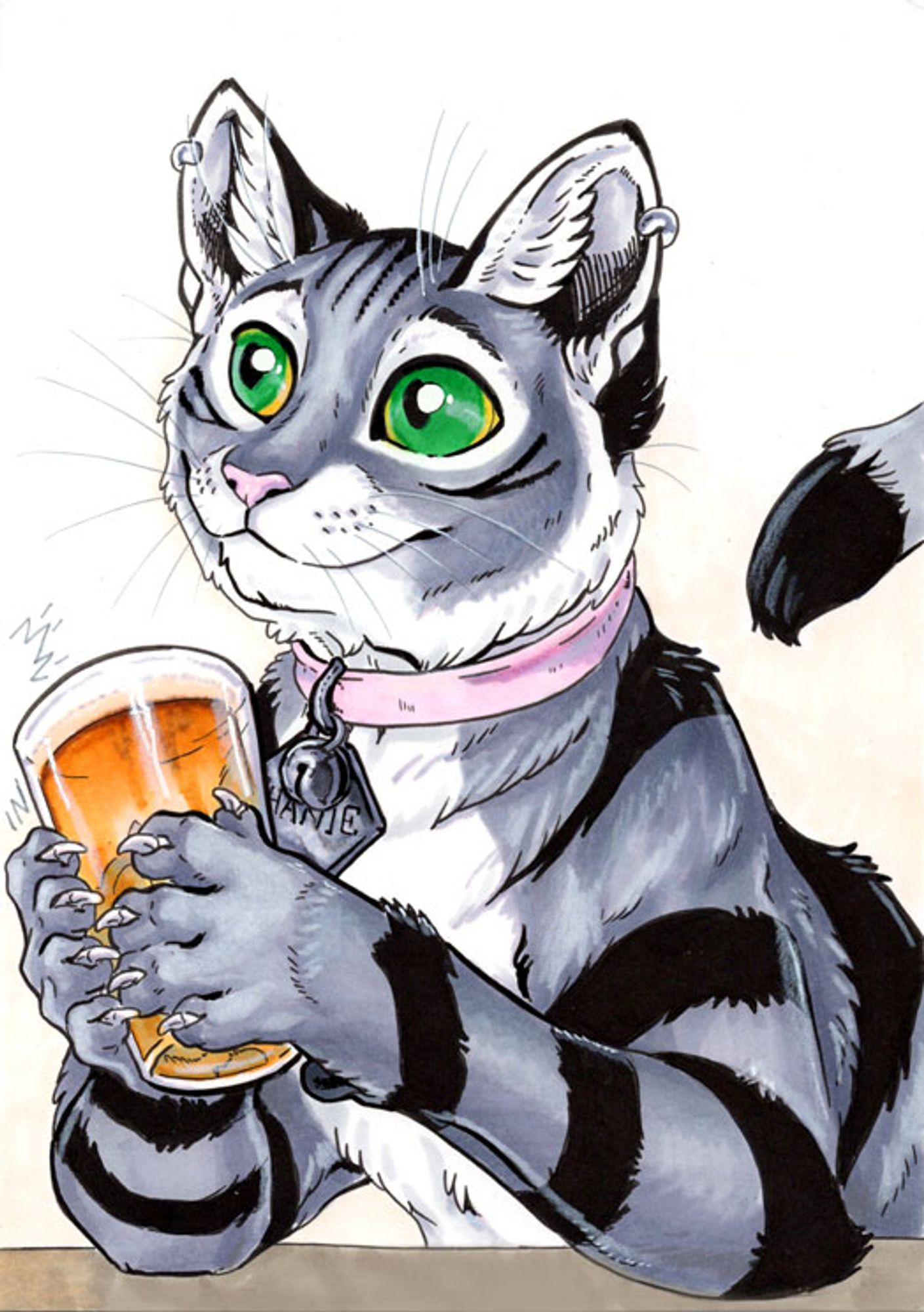 A British short hair cat wearing a pink collar holding up a glass