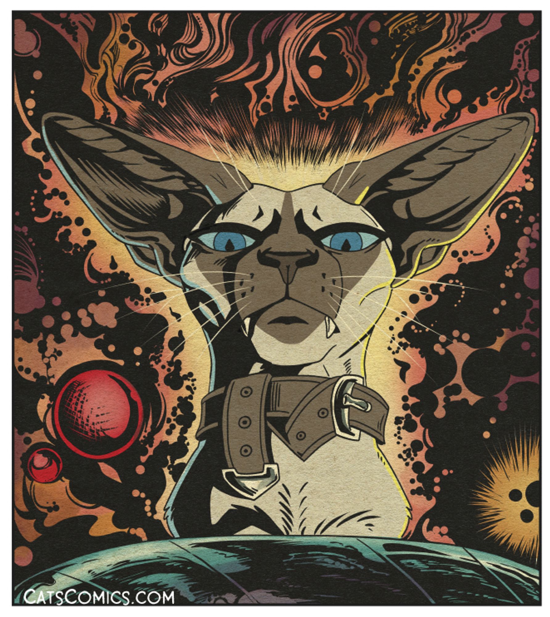 Siamese cat with kirby krackle awesome space stuff.