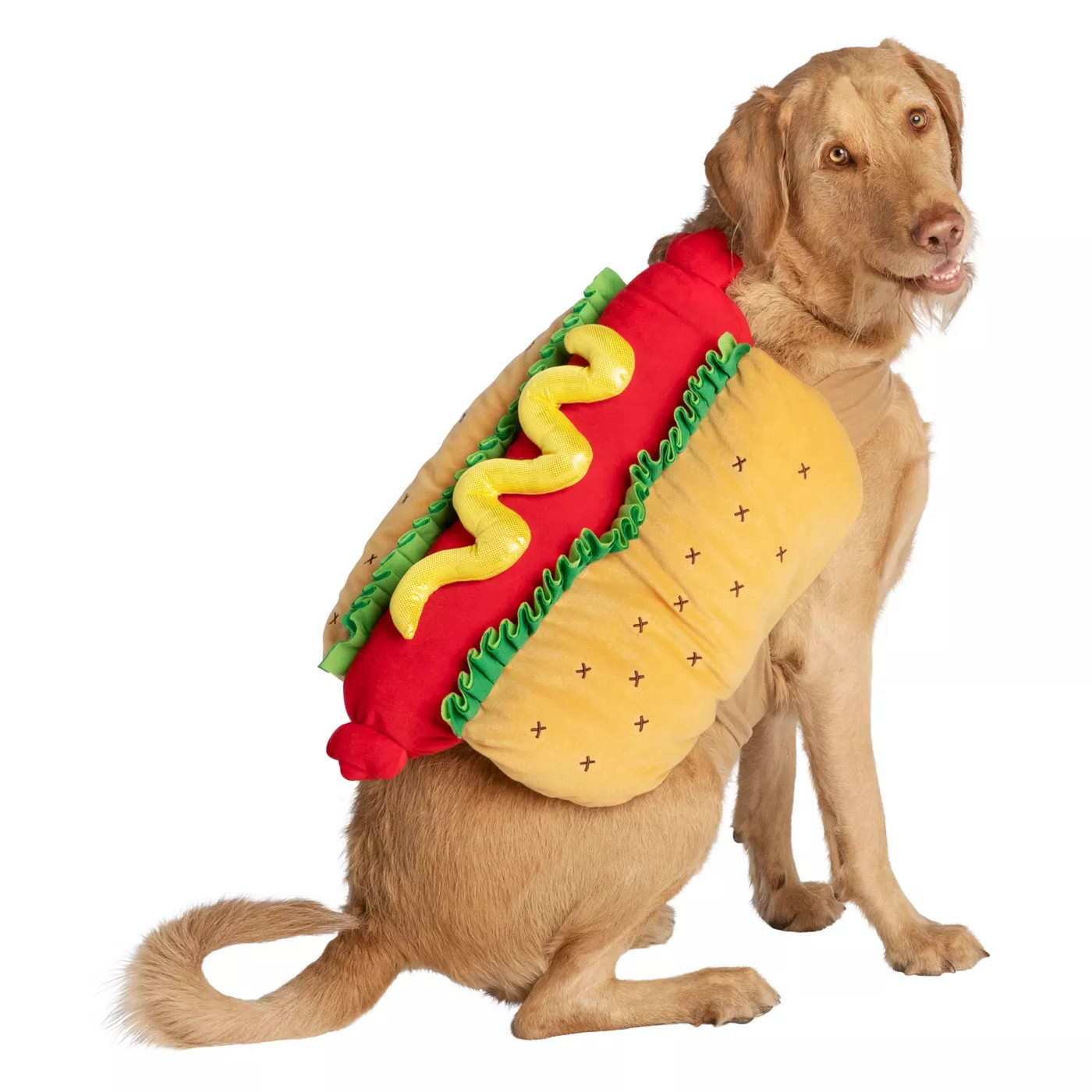 A photo of a golden-colored dog modeling a hot dog costume for dogs.