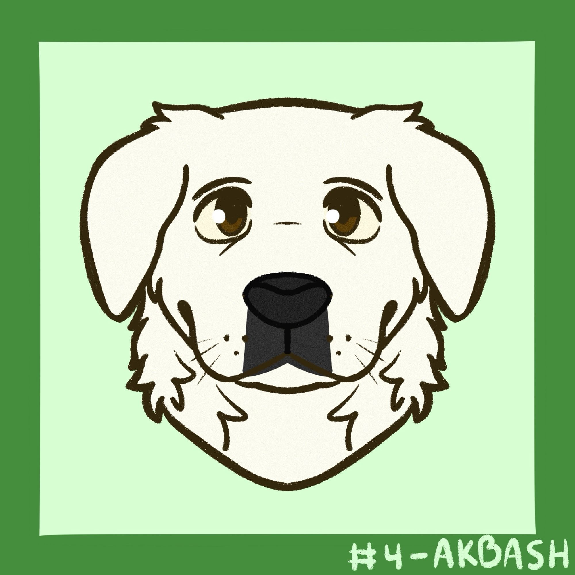 Akbash headshot