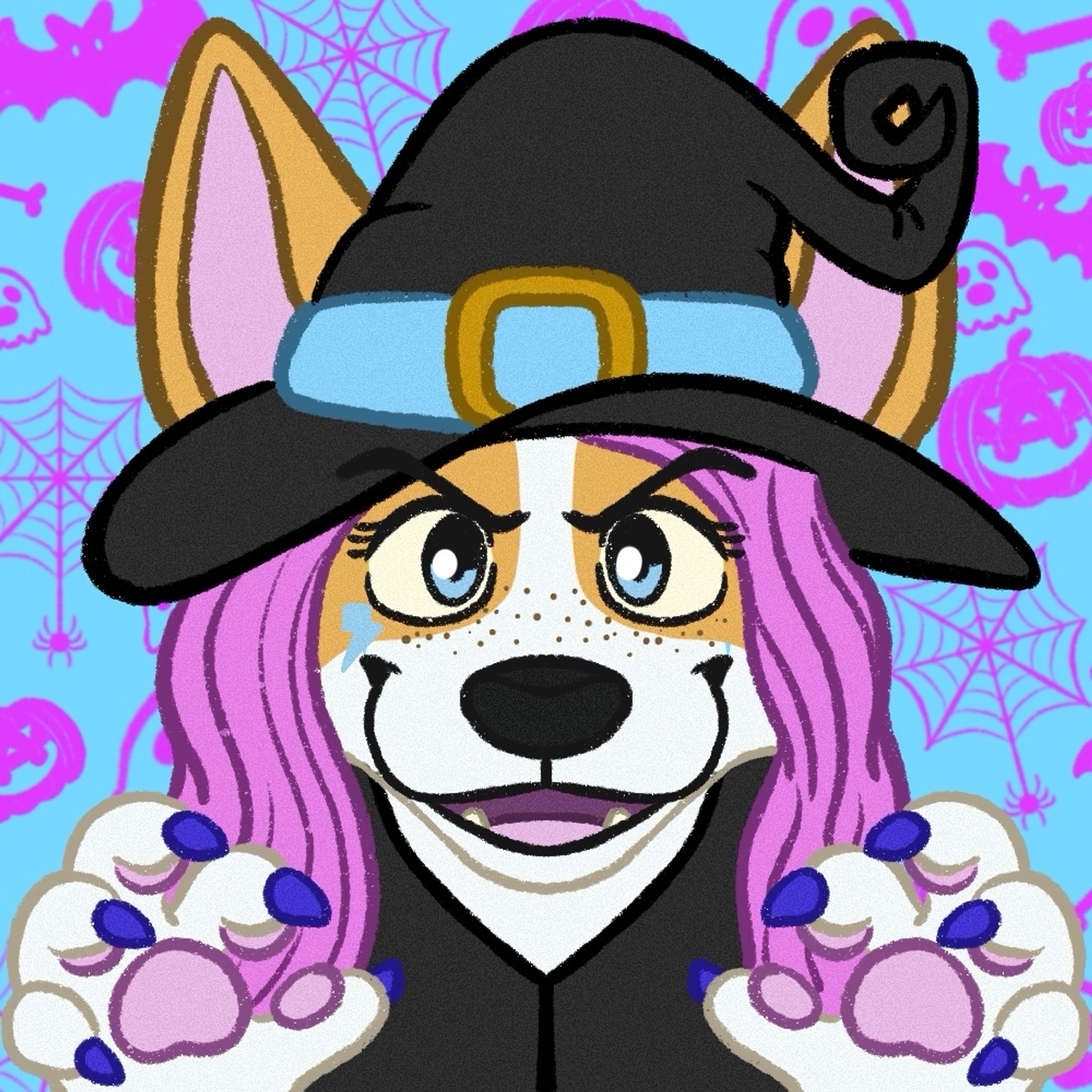 A corgi dressed as a witch