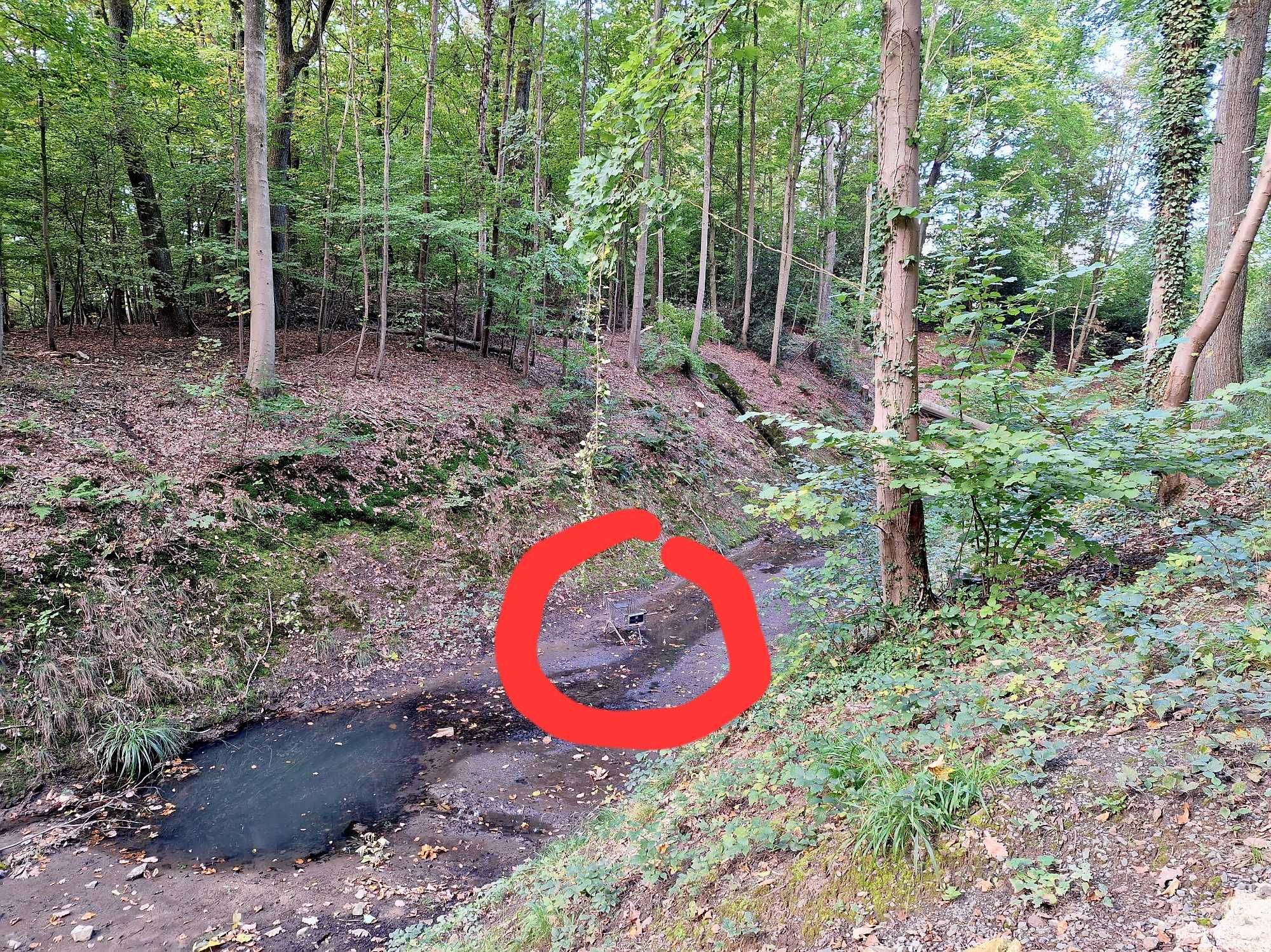 Blick einen Abhang im Wald hinunter. Unten fließt ein Bach, in dem ein Einkaufswagen steht.