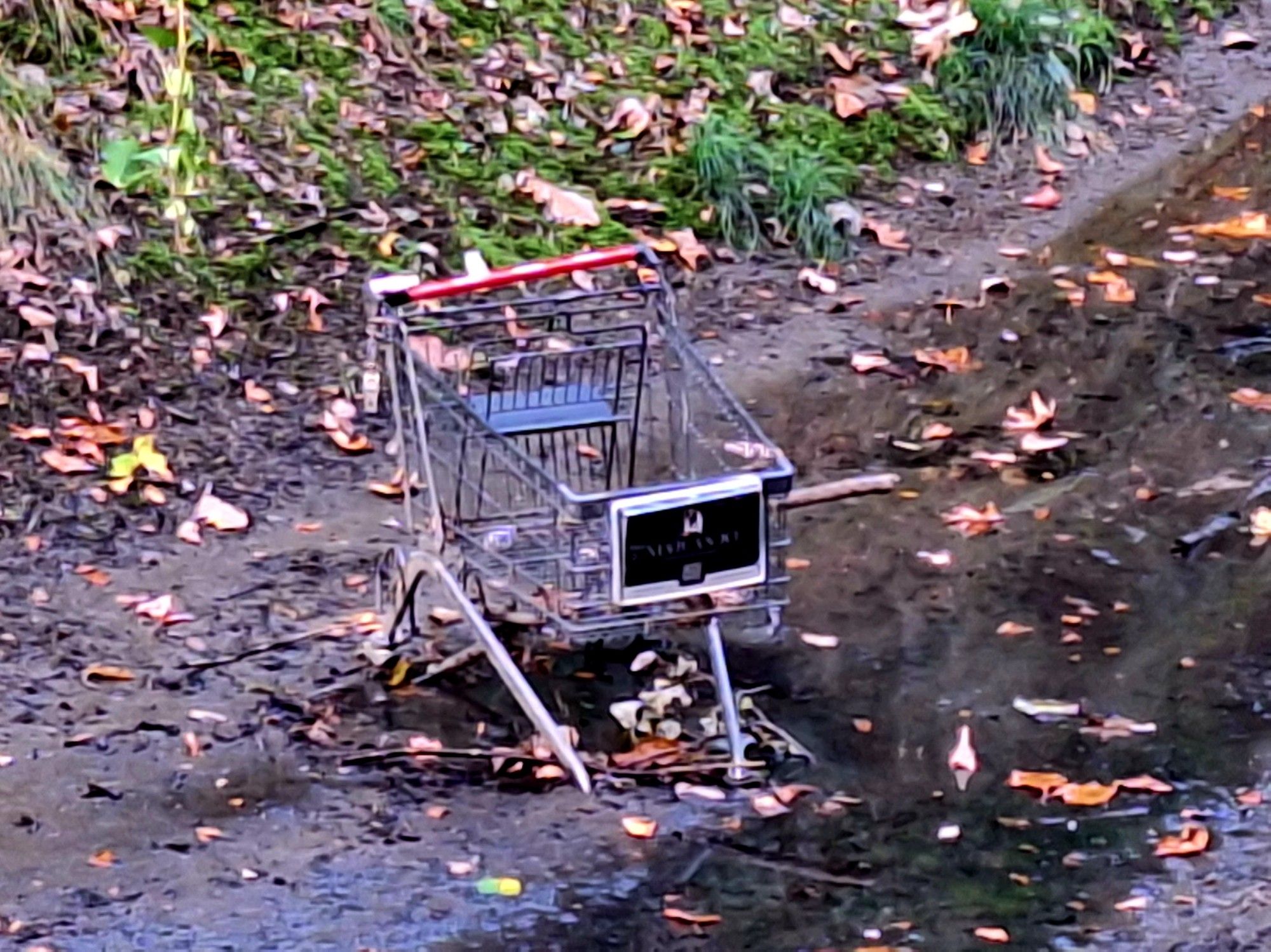 Nahaufnahme des Einkaufswagens. Seine Räder stehen im Wasser und sind im Matsch versunken.