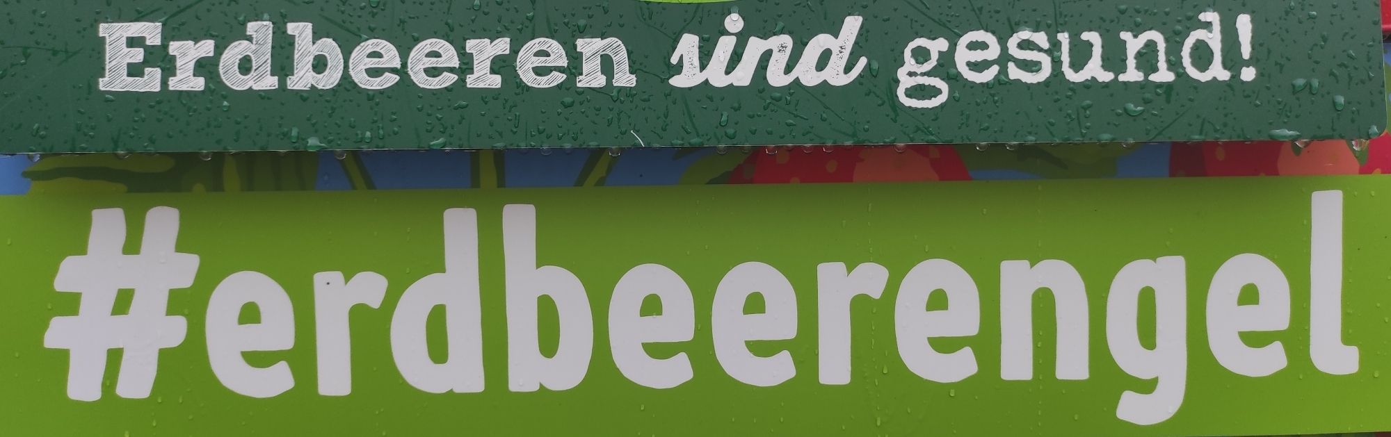 Zwei Schilder übereinander: Erdbeeren sind gut!
Darunter #erdbeerengel.