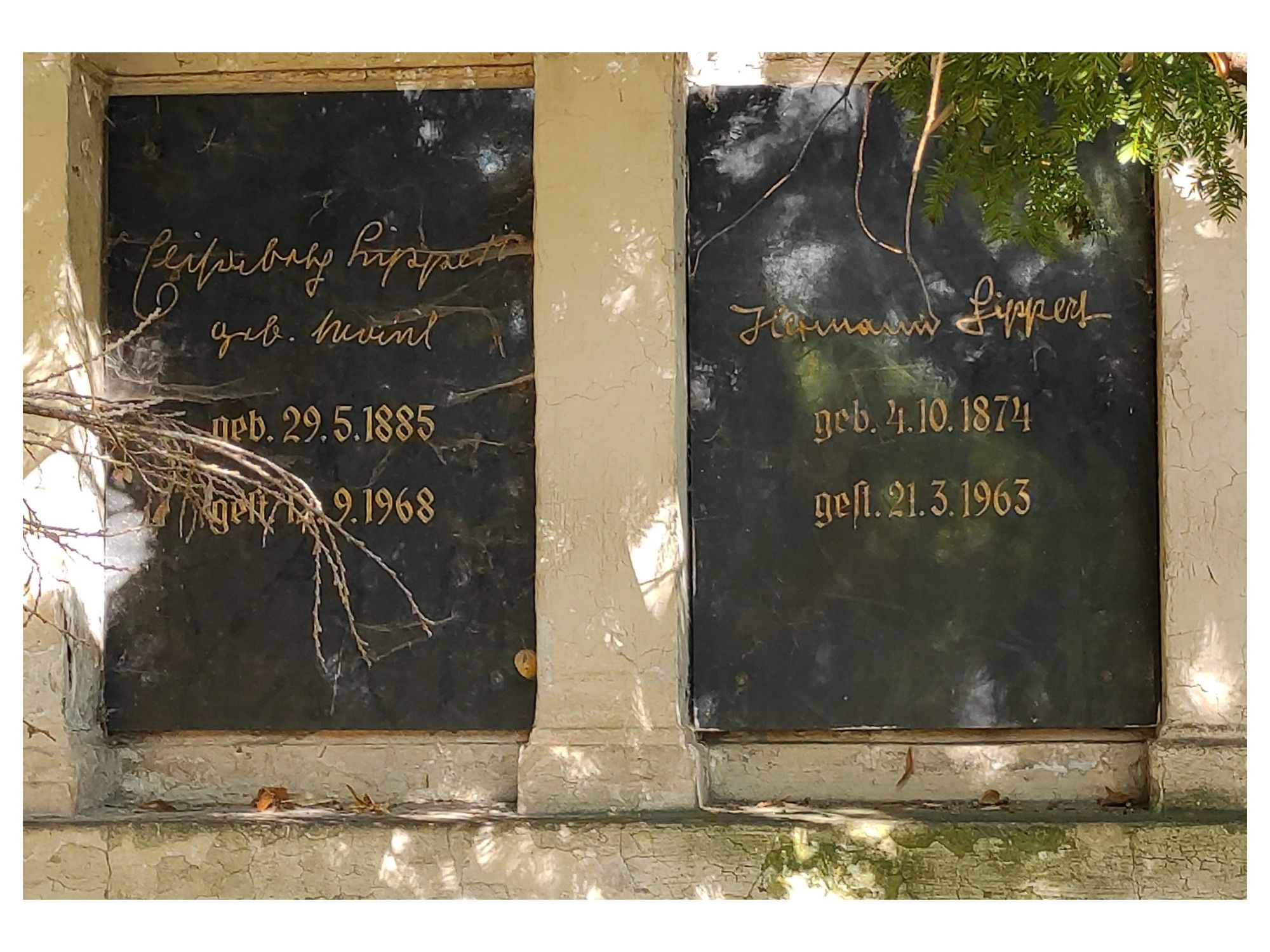 Dates 29.5.1885 - 12. 9.1968 and 4.10.1874 - 21.3.1963
Gravestone details: black granite with golden writing squared columns. Twigs from neighbouring trees