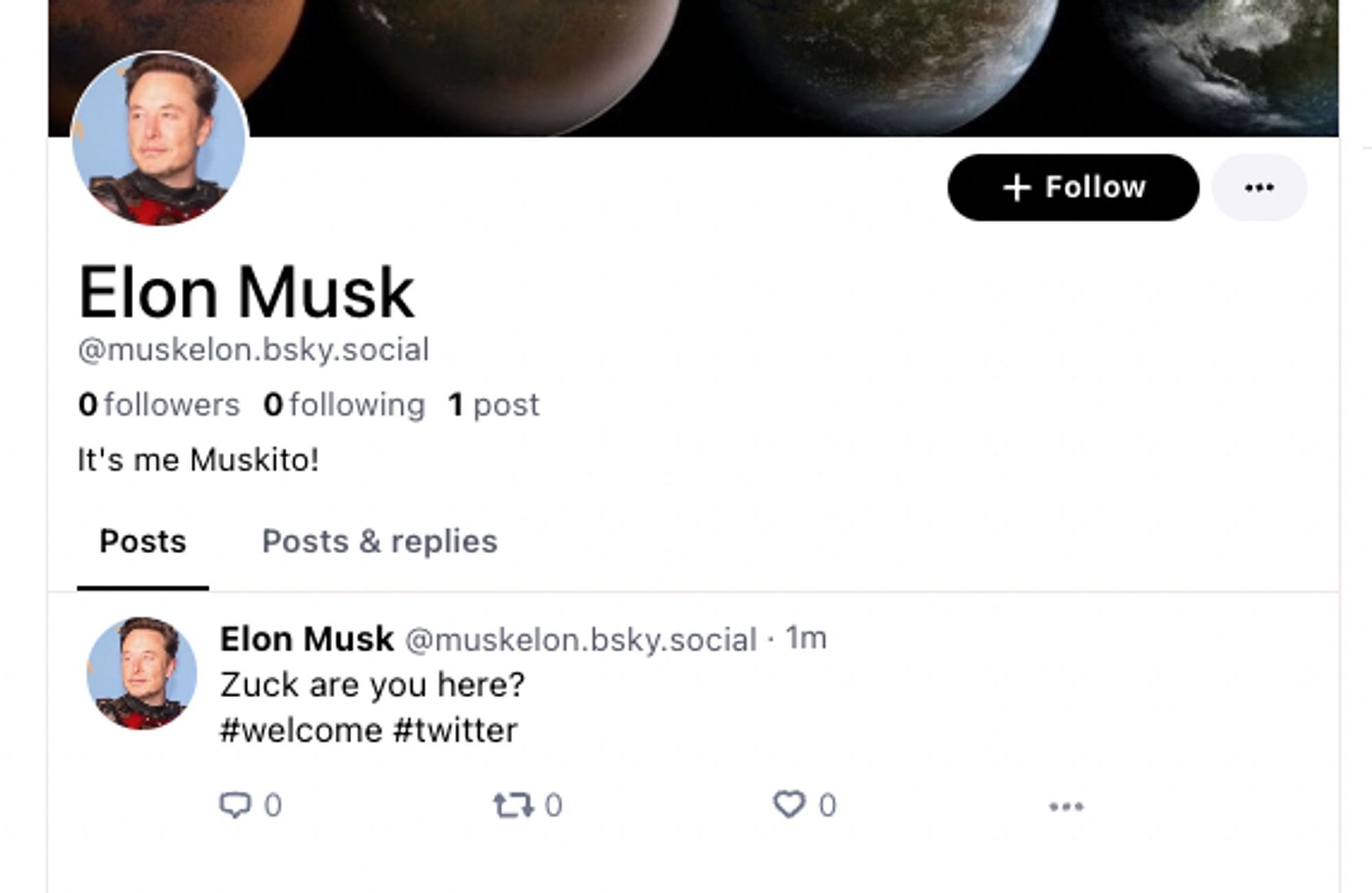 A screenshot of an Elon Musk impersonator/parody account on Bluesky