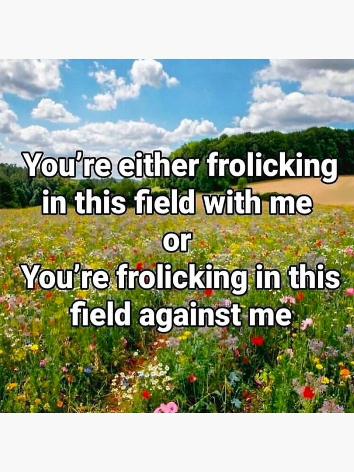 Picture of a field with the text ”you’re either frolicking in this field with me or you’re frolicking in this field against me”