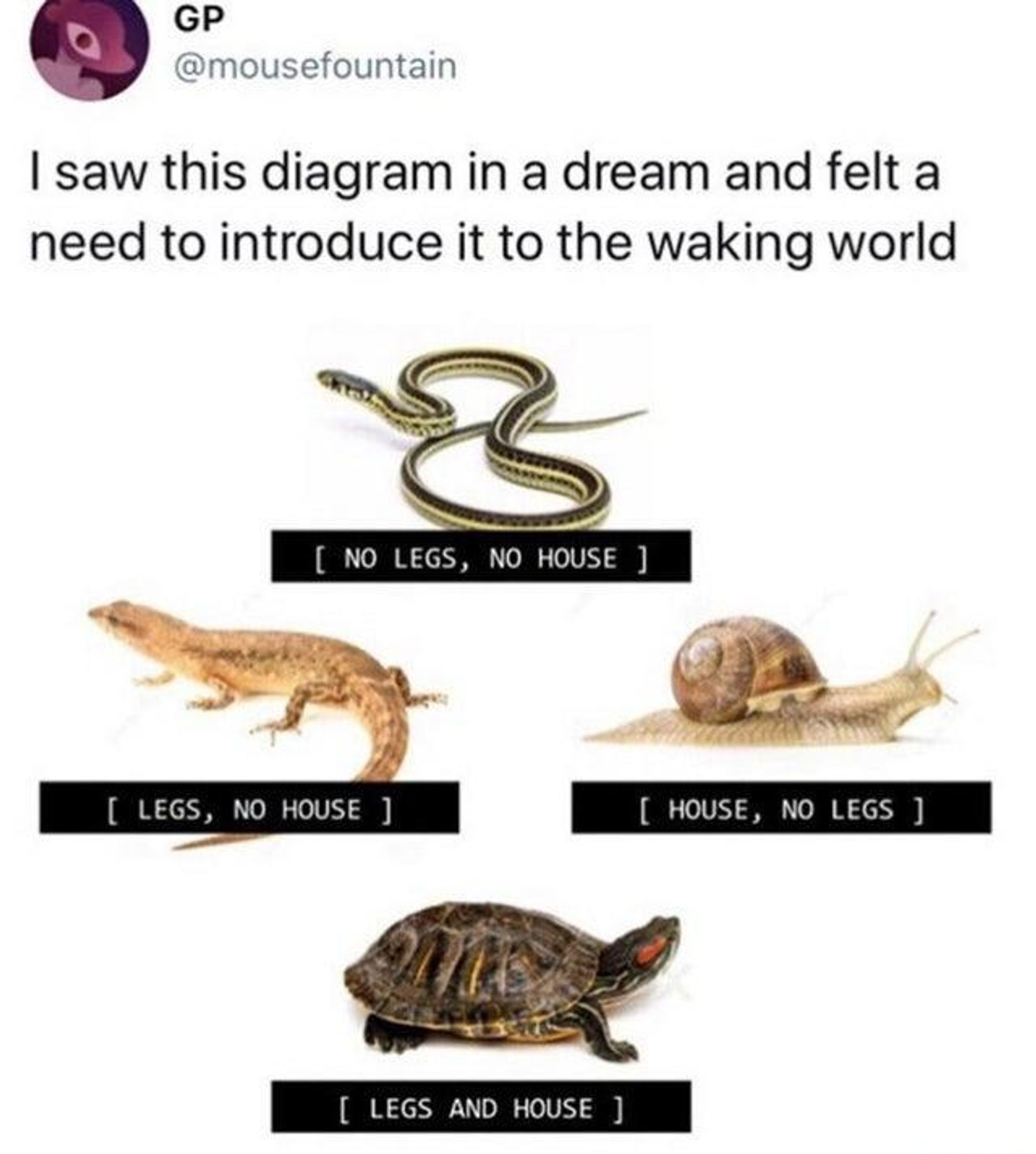 tweet saying: i saw this diagram in a dream and felt a need to introduce it to the waking world

the diagram attached below contains:
a snake labeled no legs, no house
a snail labeled house, no legs
a lizard labeled legs, no house
and a turtle labeled legs and house