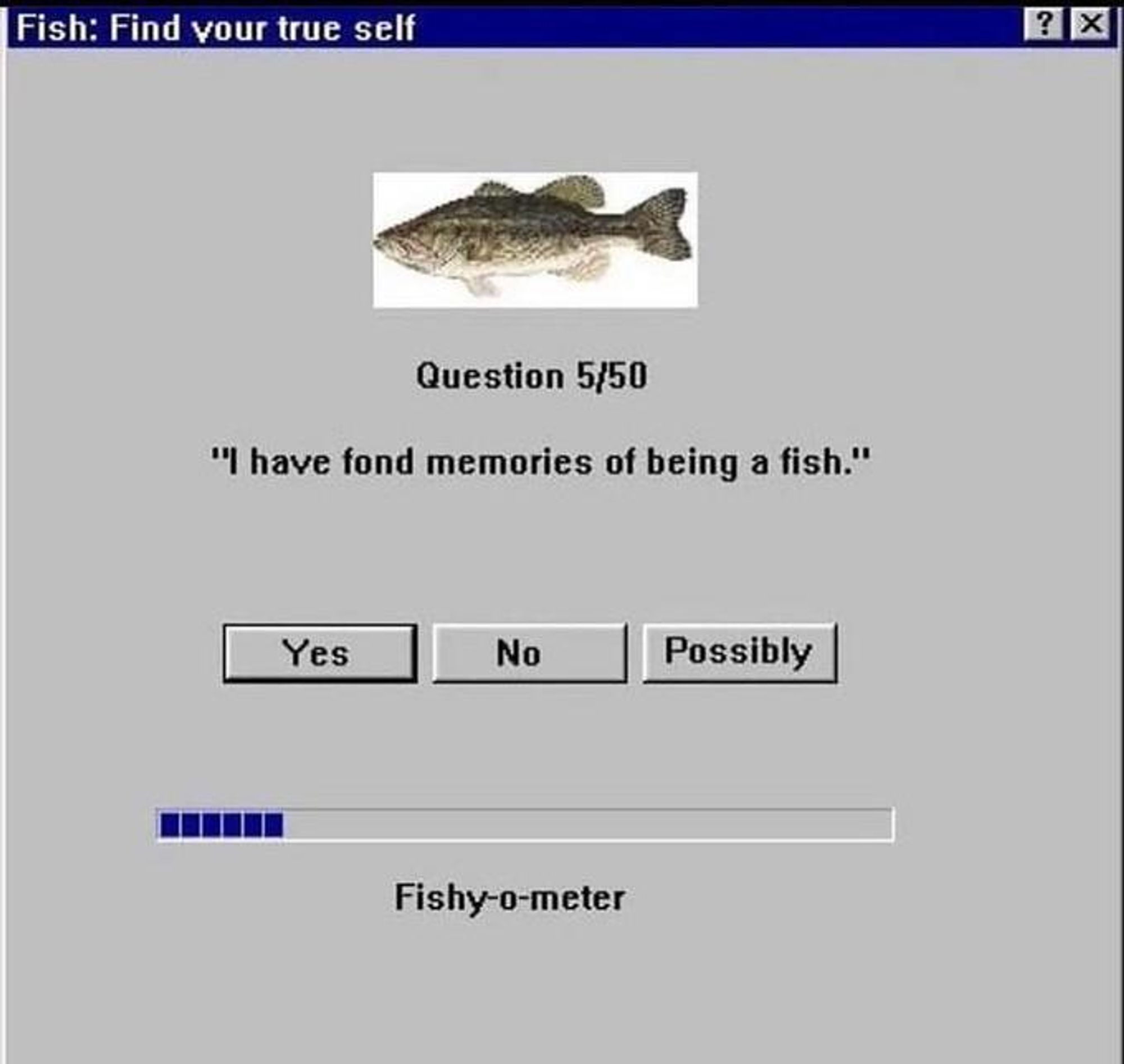 old windows styled window titled "fish: find your true self"
there is a photo of a fish and under it reads: question 5/50: "I have fond memories of being a fish." yes / no / possibly
at the bottom of the window there is a loading bar called fishy-o-meter