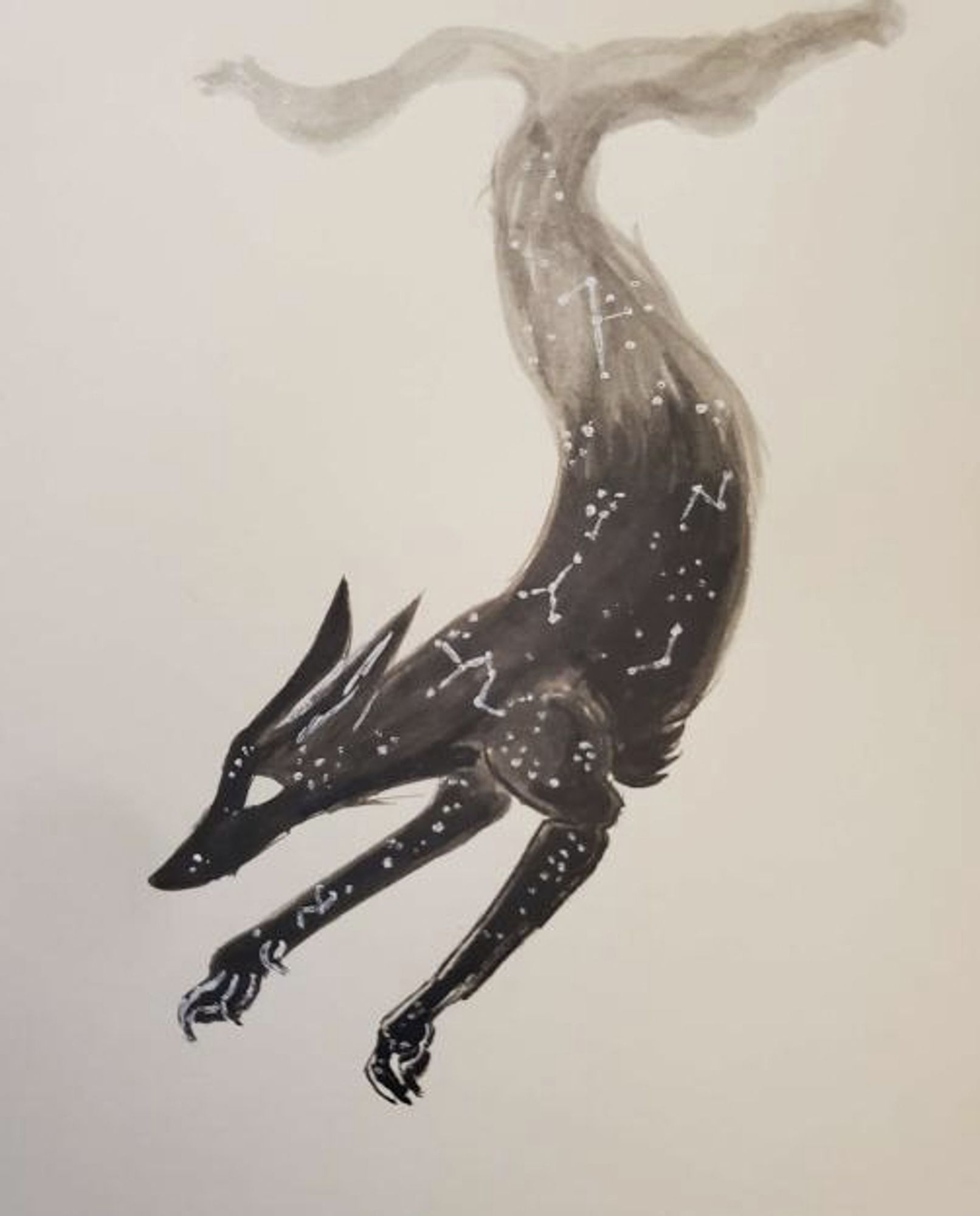 A black and white ink painting depicting a spectral fox with constellations of stars illuminated on its fur.