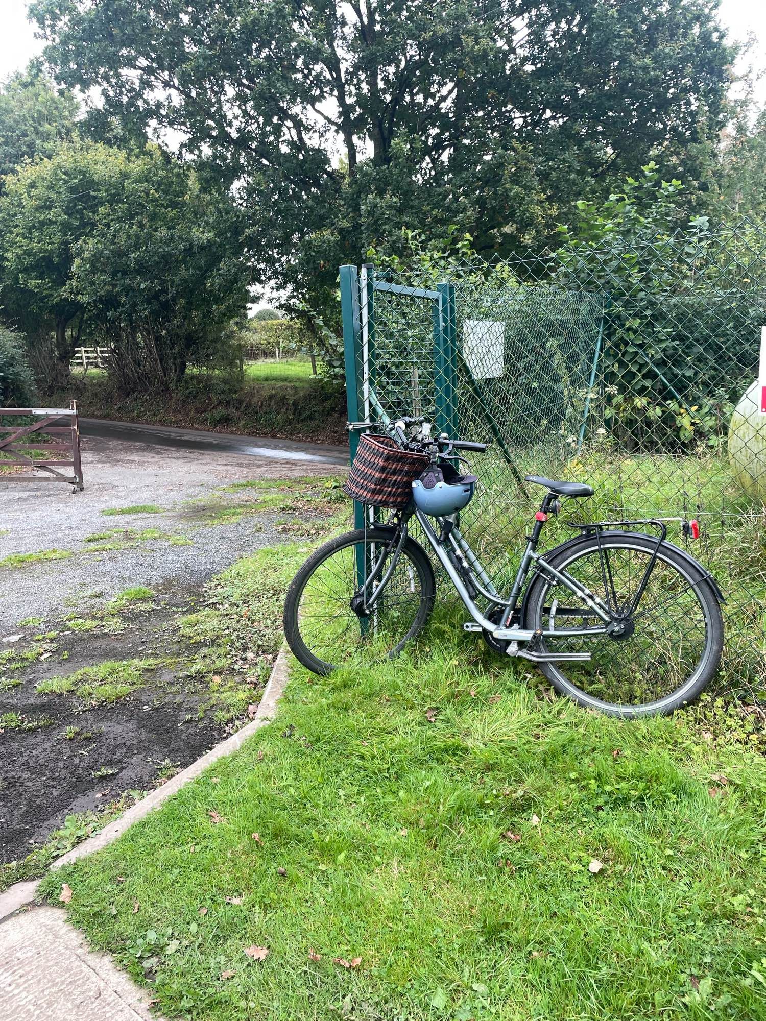 A bike locked to a fence.