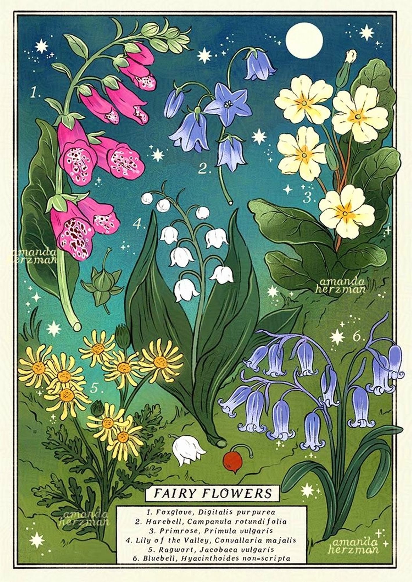 Five flowers floating in a bright landscape. they are foxglove, harebell, primrose, lily of the valley, ragwort and bluebell. they have their scientific names listed at the bottom.