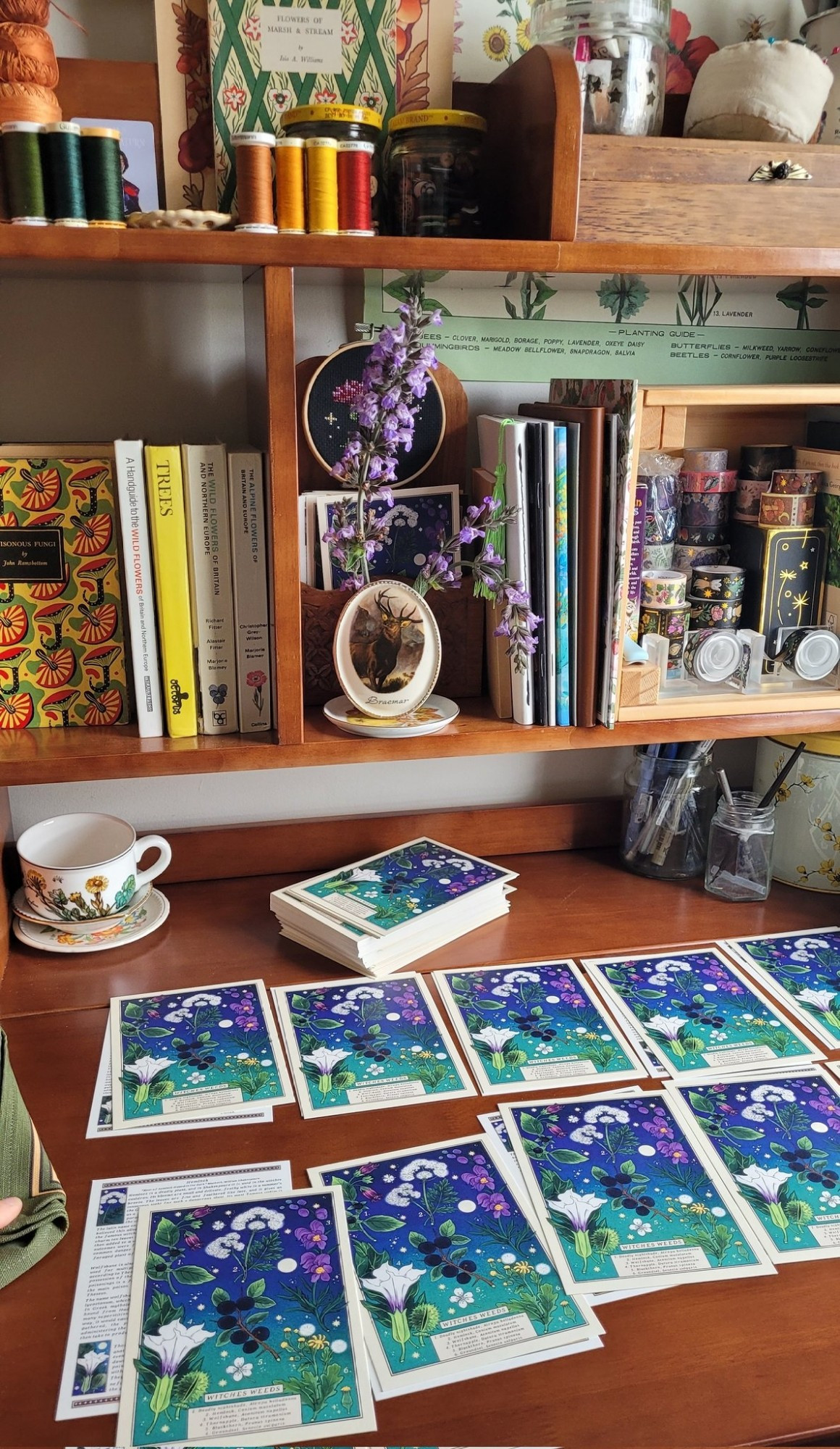 brightly coloured postcards on a wooden desk, laid out in rows