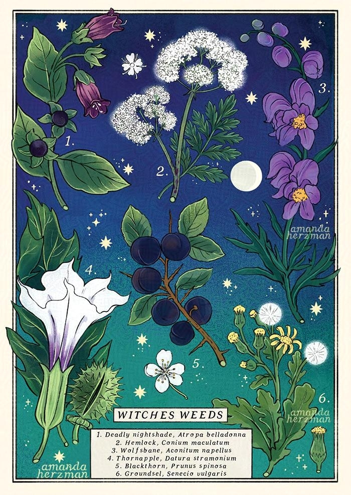 six flowers floating in a bright sky scape that fades to dark blue at the top. they are deadly nightshade, hemlock, wolfsbane, thornapple, blackthorn and ragwort. the plant names are listed at the bottom, with the title witches weeds. these are all plants associated with witches in folklore