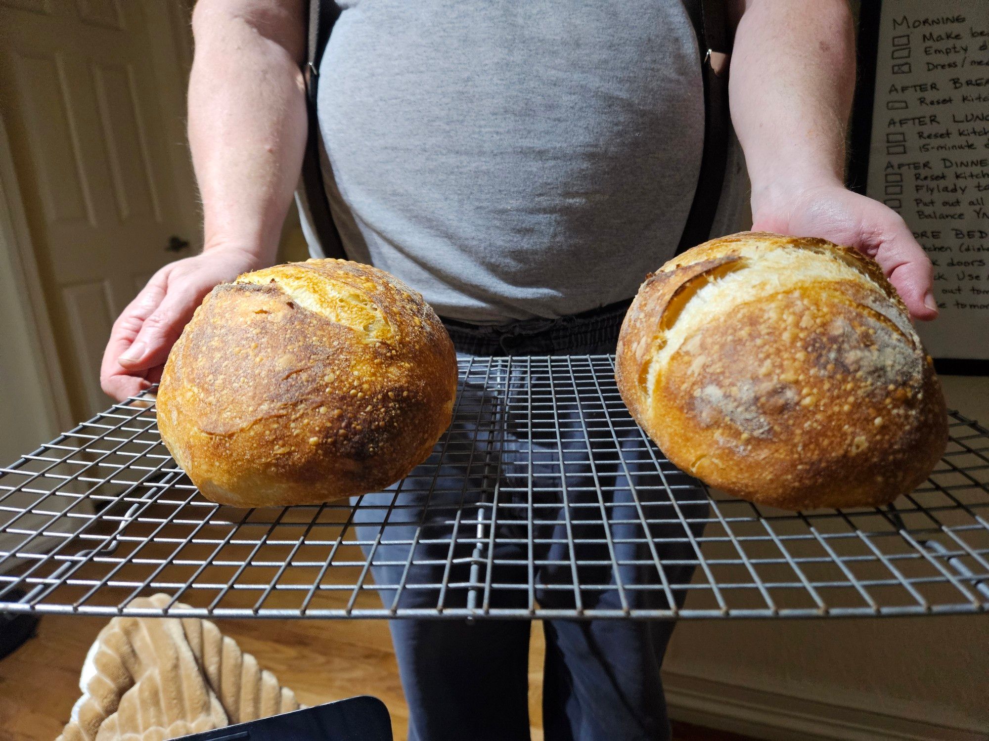 Two loaves of sourdough bread