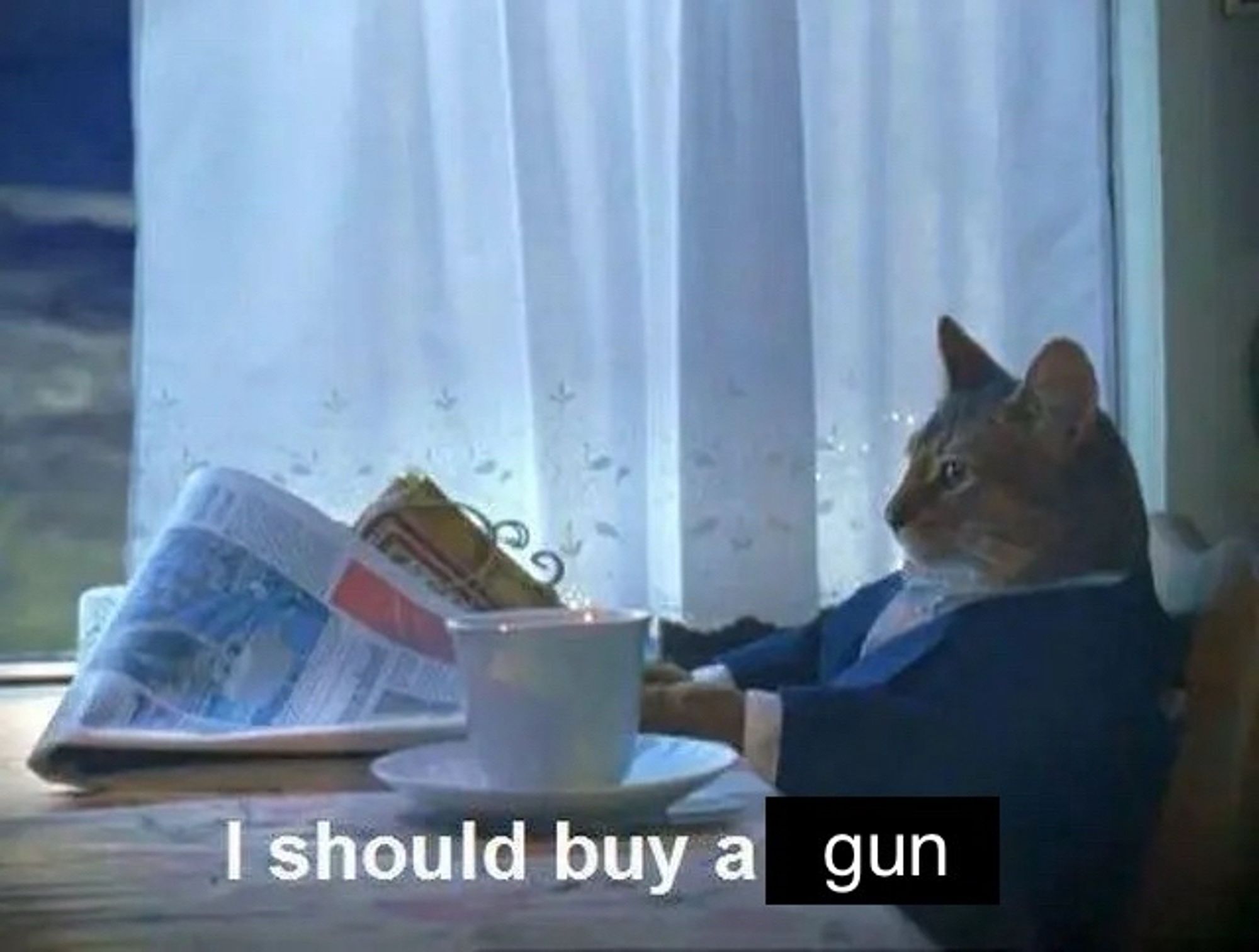 I should buy a
gun