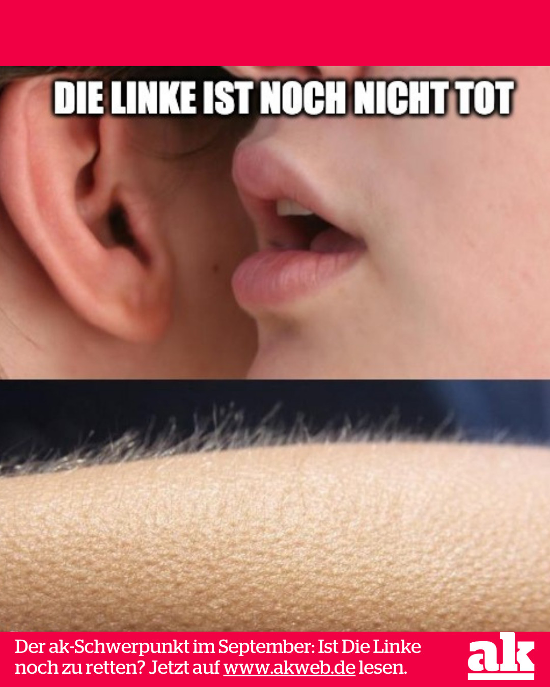 Meme jemand flüstert ins Ohr, darunter ein Arm mit Gänsehaut. Darüber steht Die Linke ist noch nicht tot