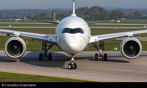 Picture of captured plane.